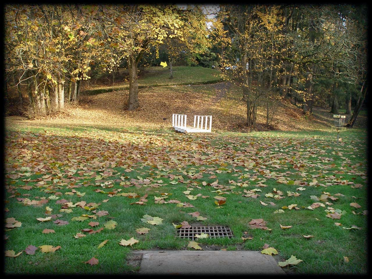 Hole 7 • Herbert Hoover Park (Newberg, OR) Disc Golf Courses Disc Golf Scene