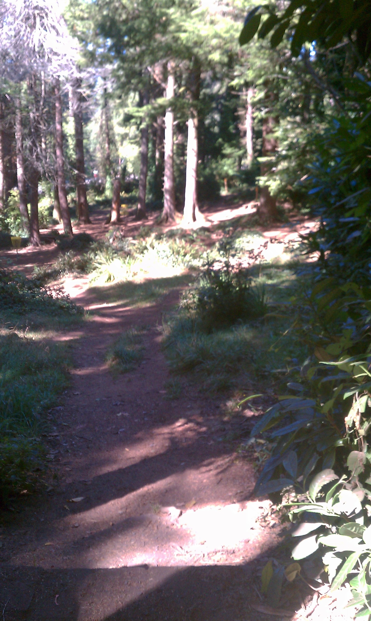 Hole 4 • Windsor Park (North Bend, OR) Disc Golf Courses Disc Golf