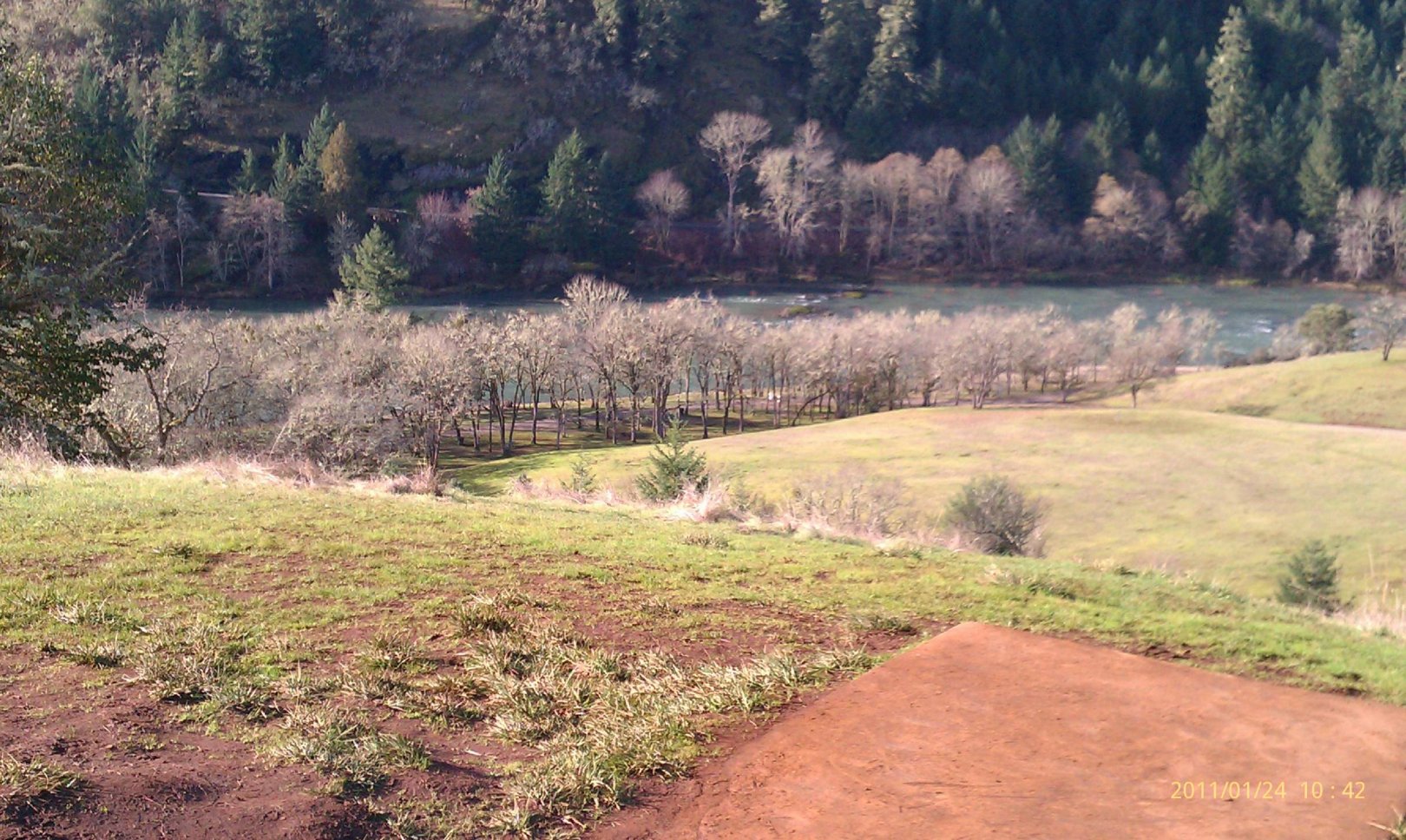 Hole 14 • Whistler's Bend (Roseburg, OR) Disc Golf Courses Disc