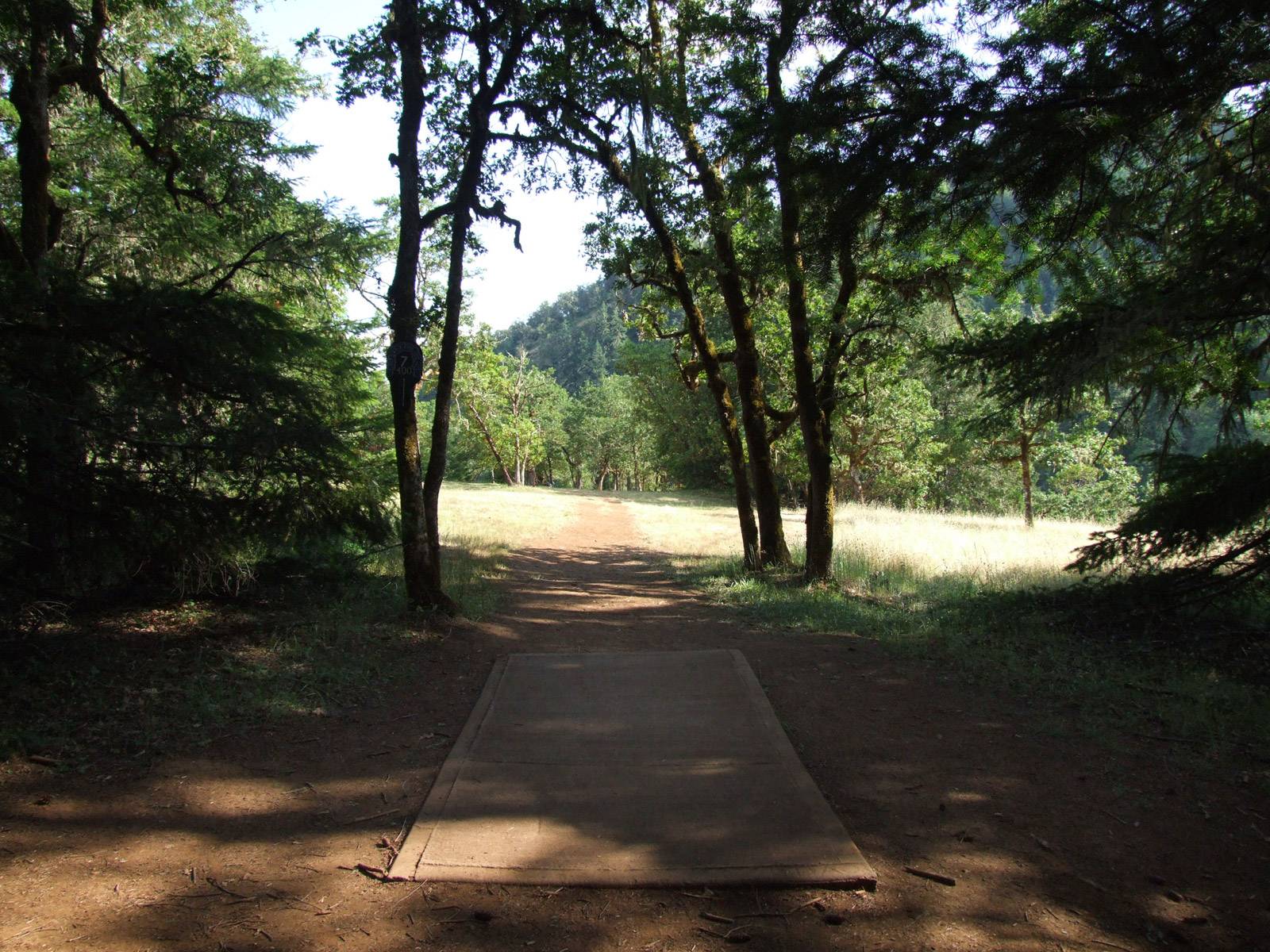 Hole 7 • Whistler's Bend (Roseburg, OR) Disc Golf Courses Disc Golf