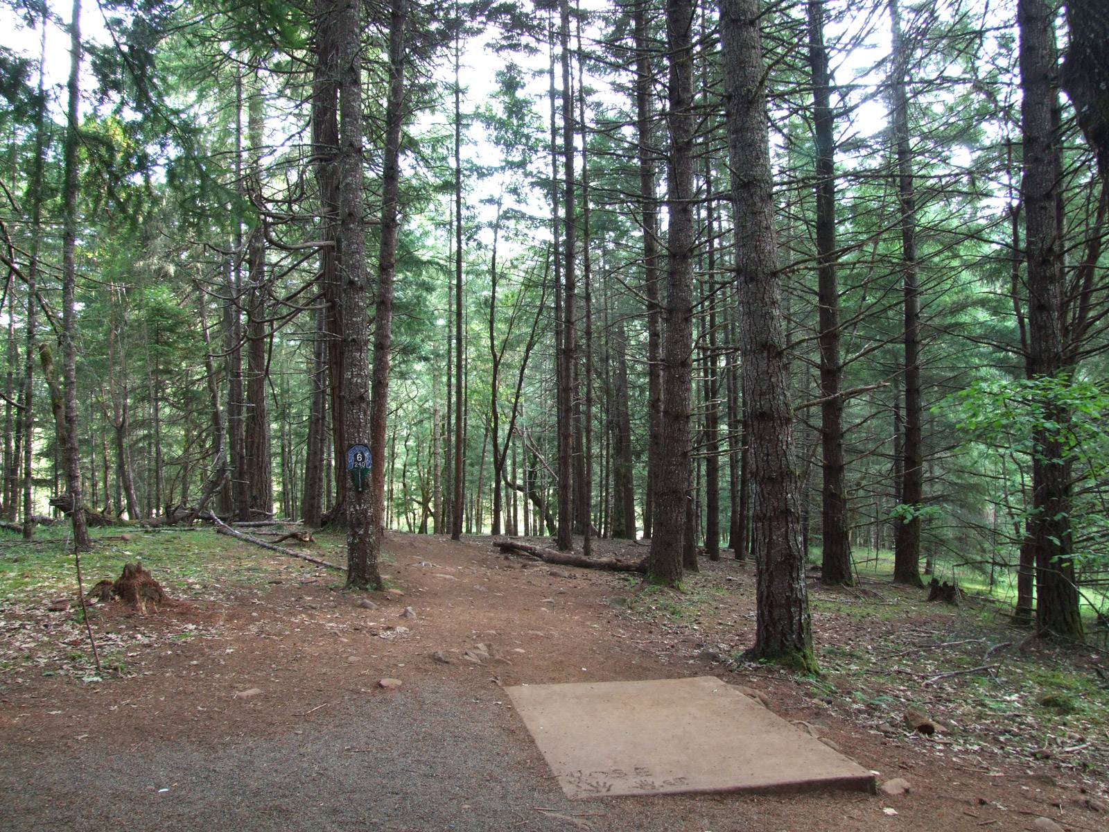 Hole 6 • Whistler's Bend (Roseburg, OR) Disc Golf Courses Disc Golf