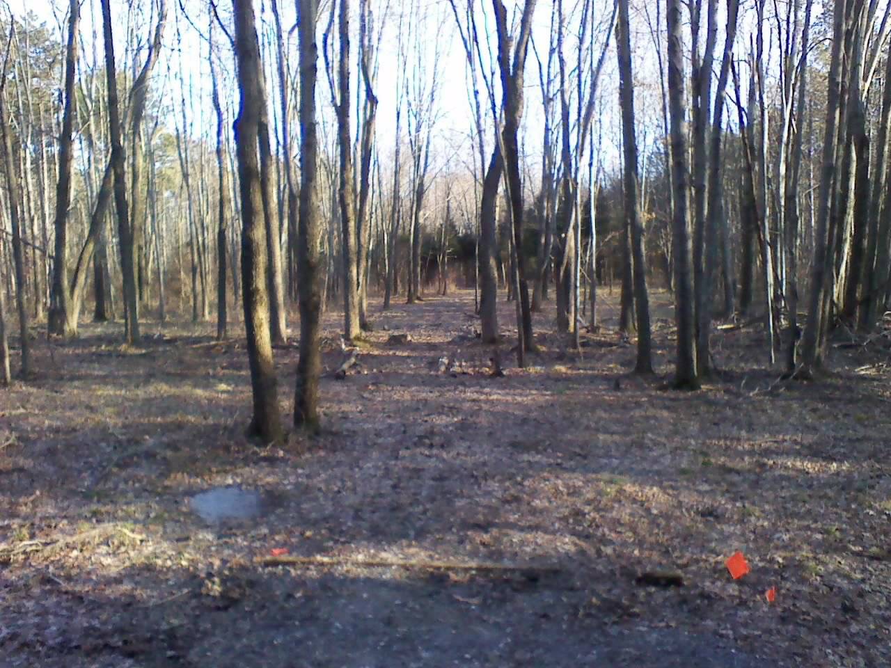 Hole 4 • Quaker's Challenge / Gifford Pinchot State Park (Lewisberry