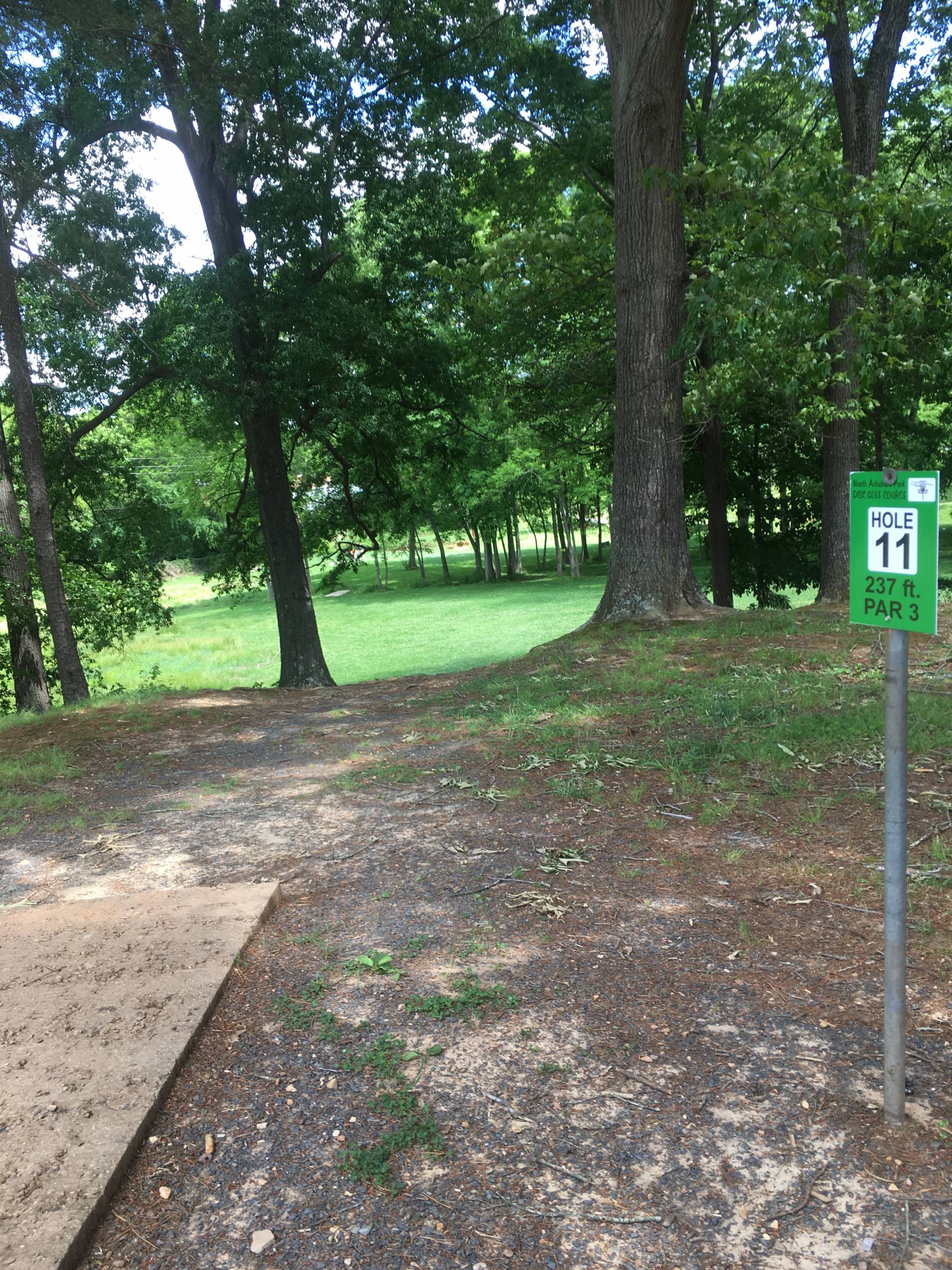 Hole 11 • North Asheboro Park (Asheboro, NC) Disc Golf Courses Disc