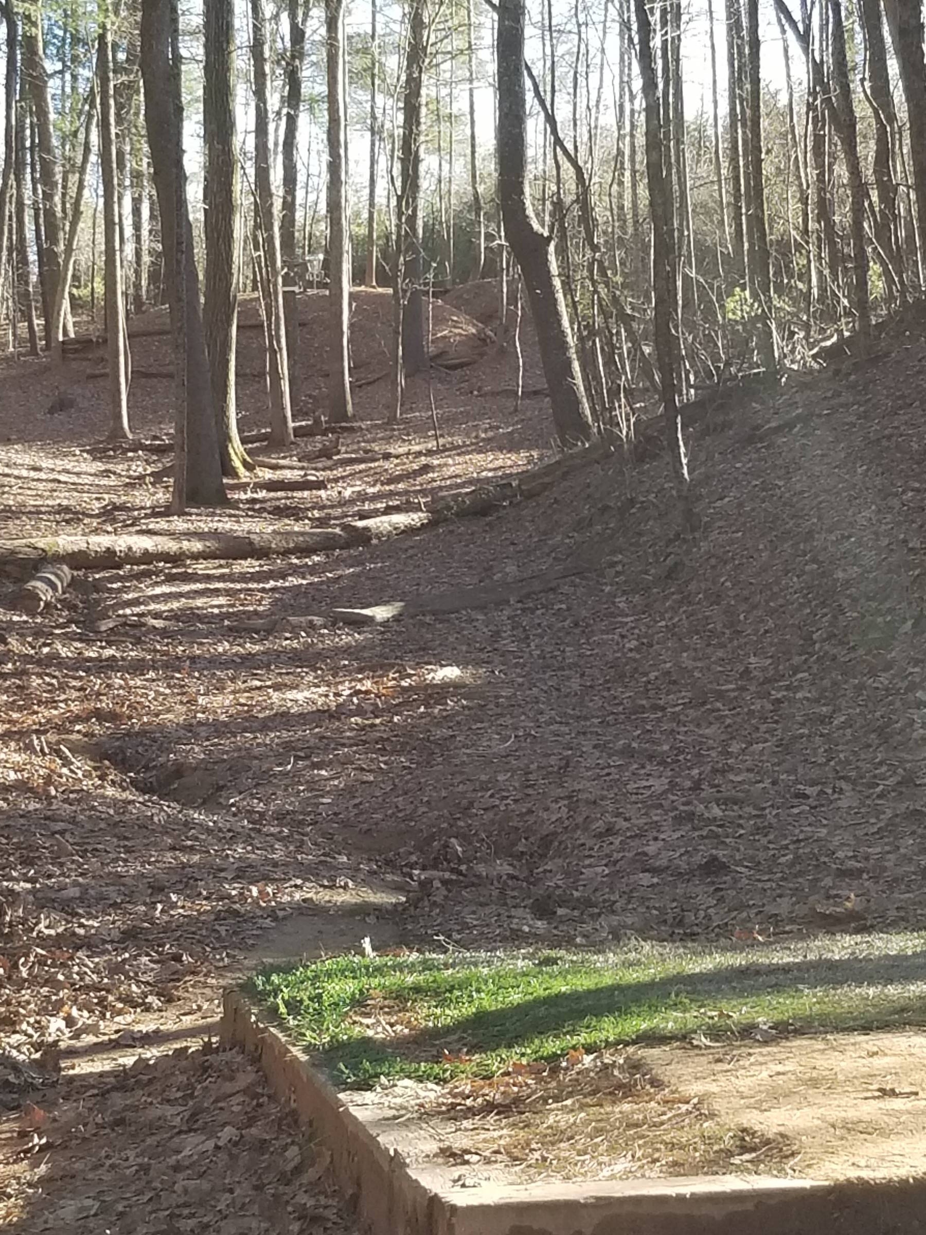 Hole 16 • Richmond Hill (Asheville, NC) Disc Golf Courses Disc Golf