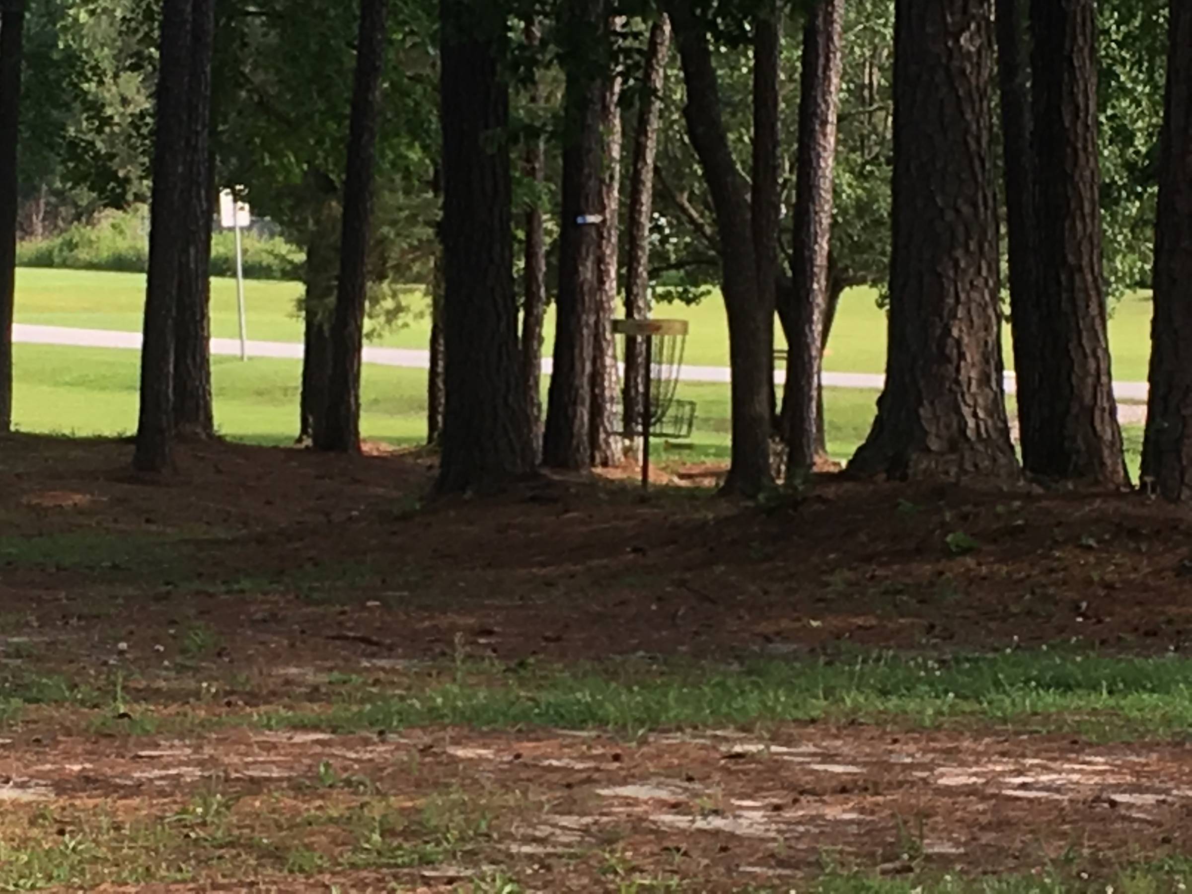 Hole 10 • Northeast Creek Park (Jacksonville, NC) Disc Golf Courses