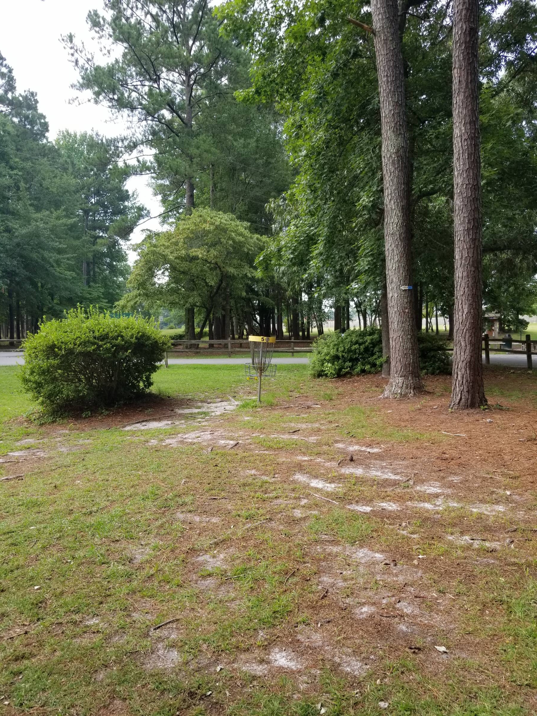 Hole 5 • Northeast Creek Park (Jacksonville, NC) Disc Golf Courses