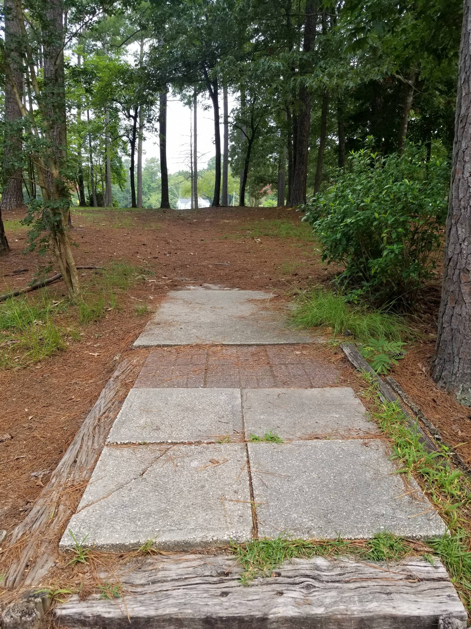 Hole 4 • Northeast Creek Park (Jacksonville, NC) Disc Golf Courses Disc Golf Scene