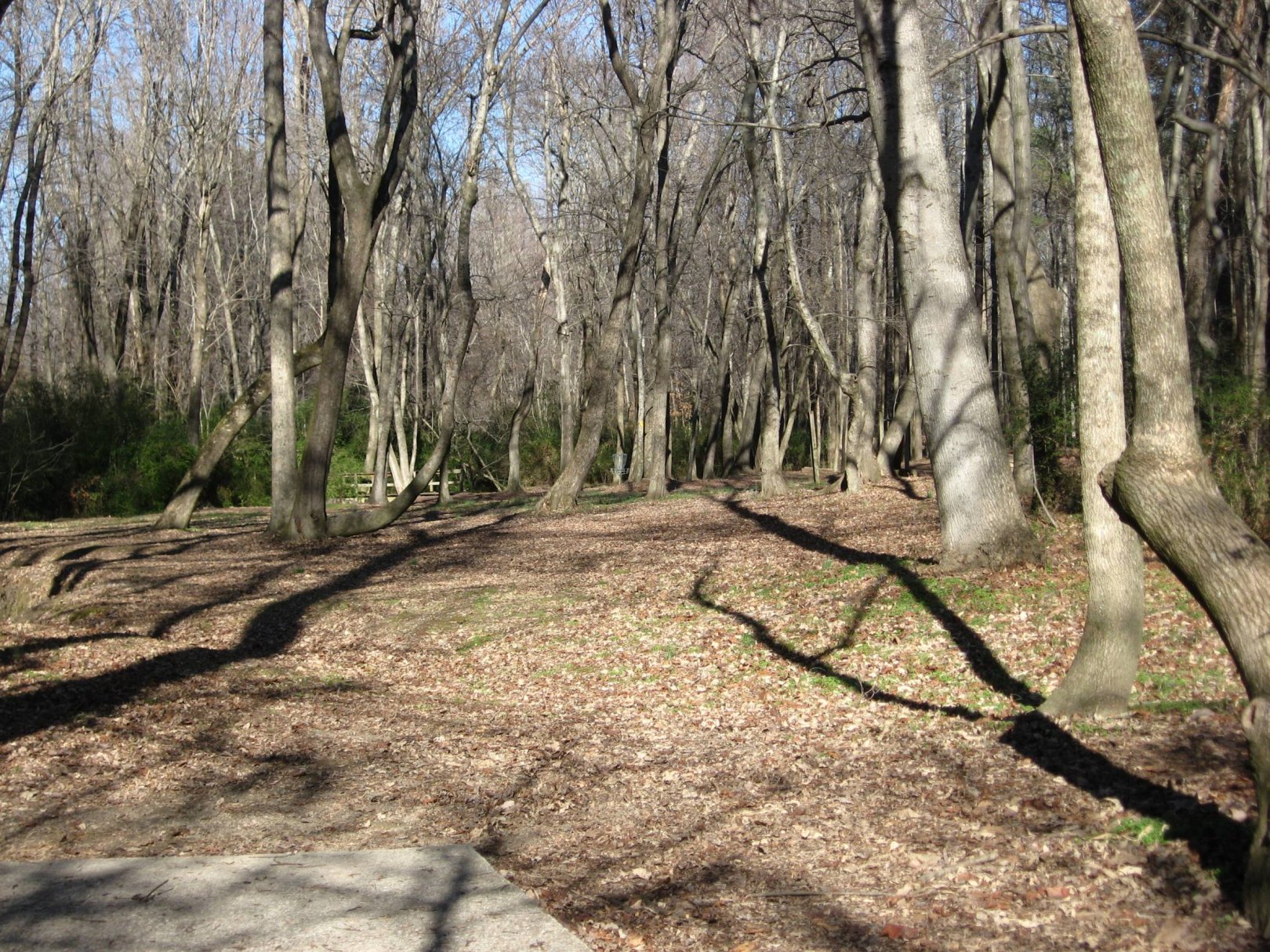 Hole 6 • Zebulon Community Park (Zebulon, NC) Disc Golf Courses