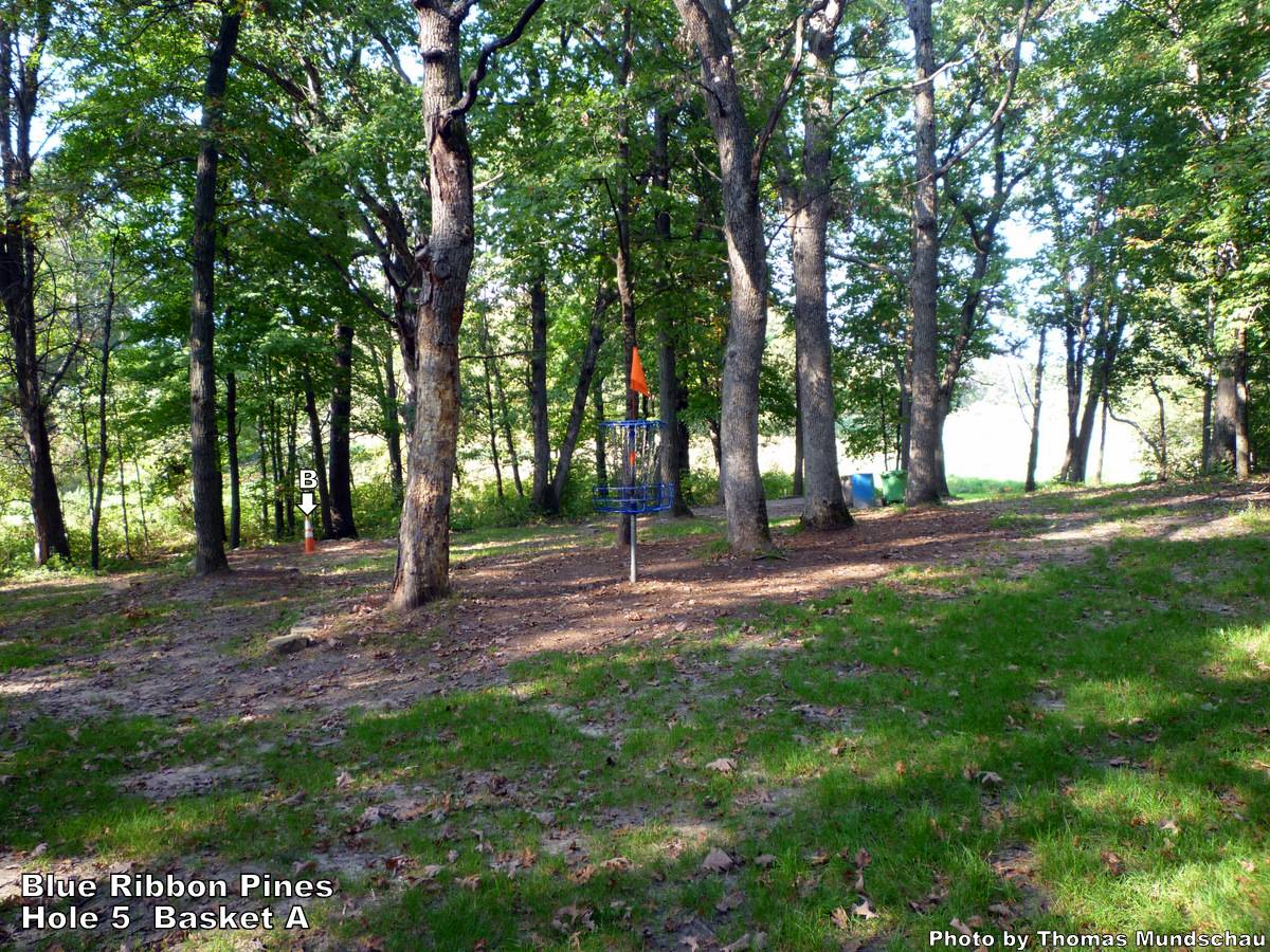 Hole 5 • Blue Ribbon Pines (East Bethel, MN) Disc Golf Courses Disc