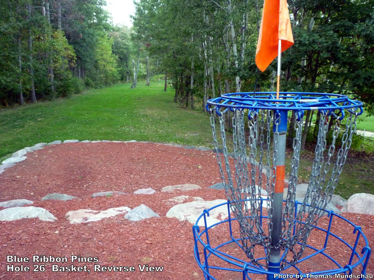 Hole 26 • Blue Ribbon Pines (East Bethel, MN) Disc Golf Courses