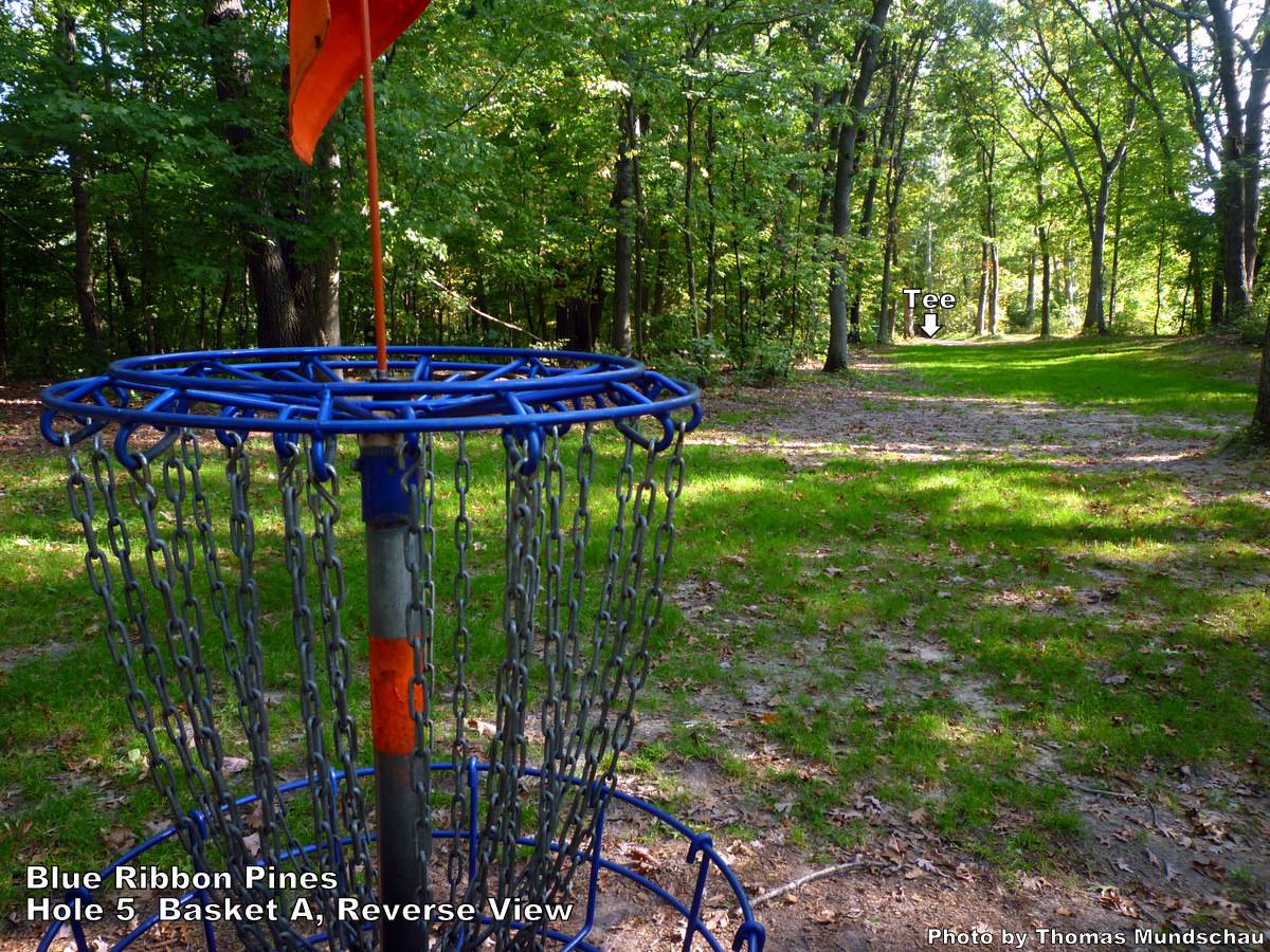 Hole 5 • Blue Ribbon Pines (East Bethel, MN) Disc Golf Courses Disc