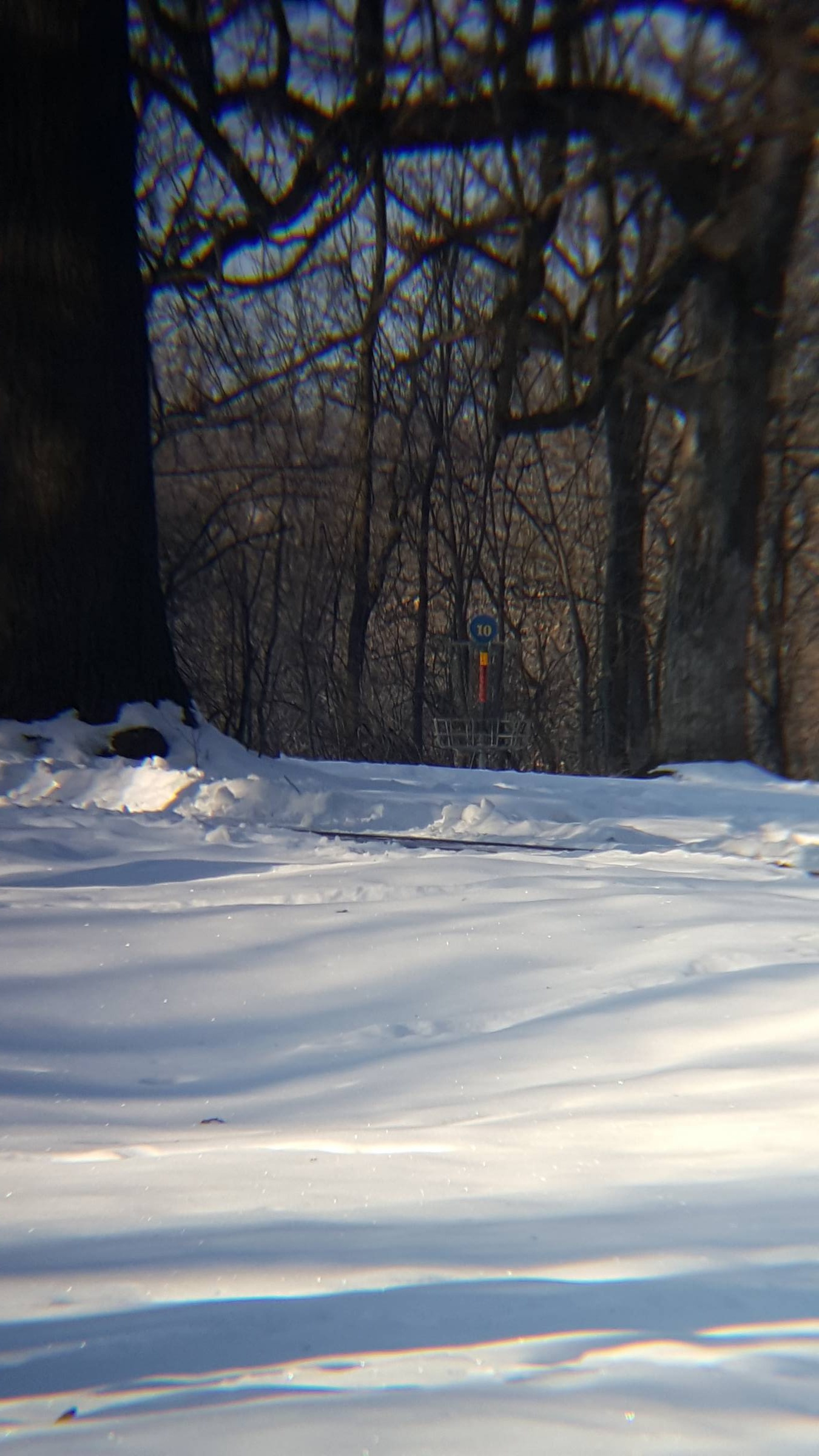 Hole 10 • C.P. Adams Park (Hastings, MN) Disc Golf