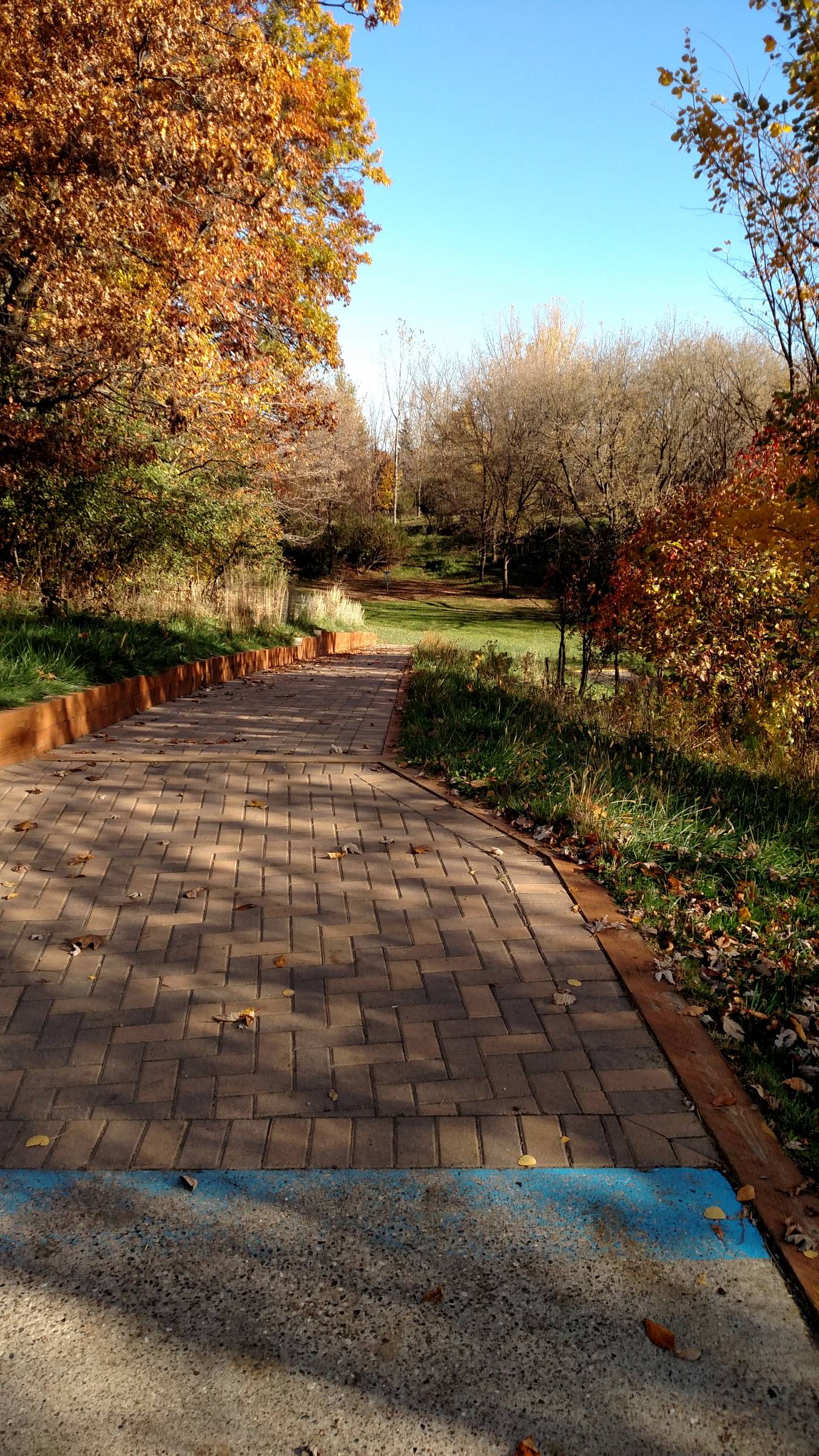 Hole 11 • Bryant Lake Park (Eden Prairie, MN) Disc Golf Courses