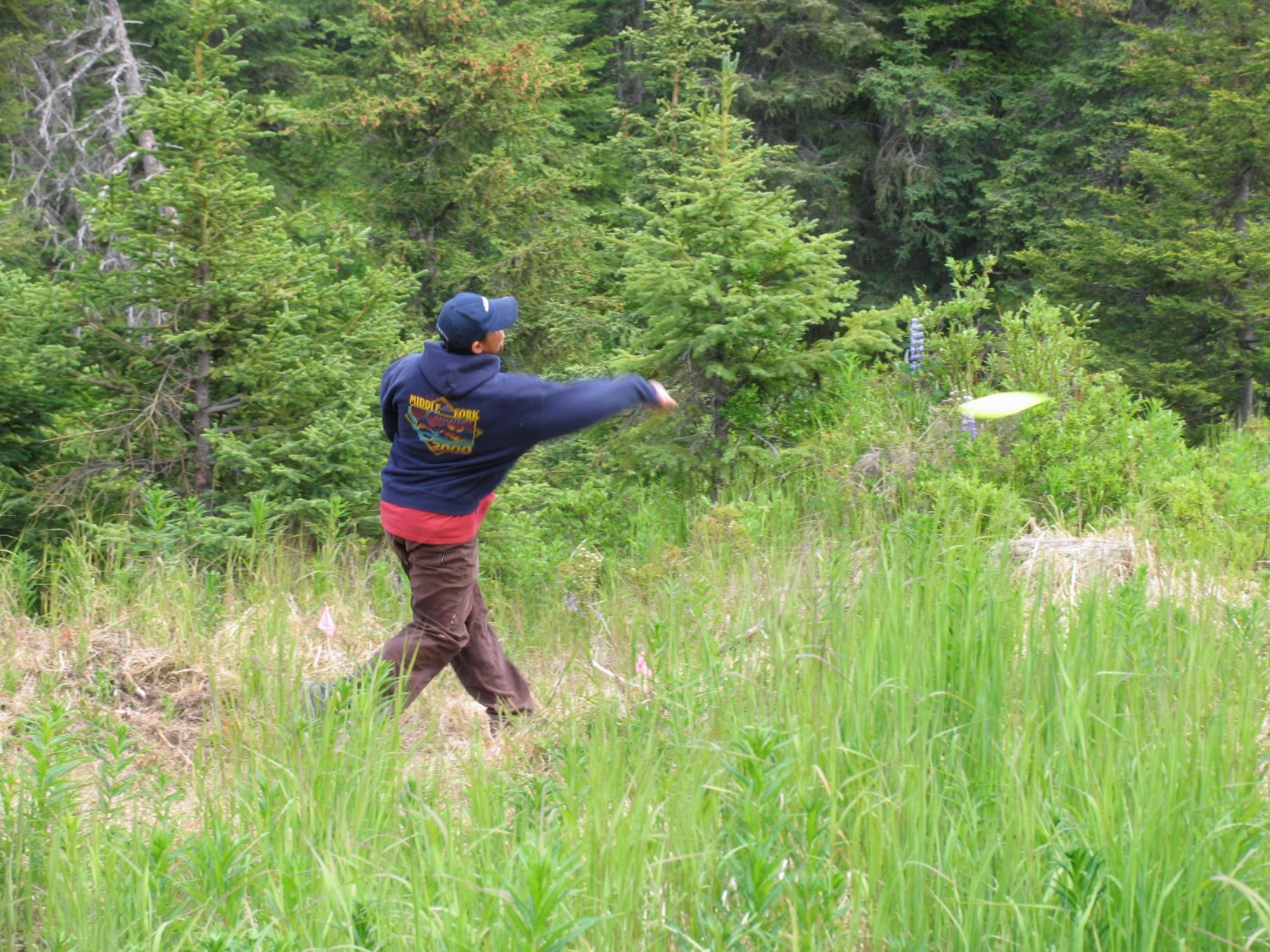 Hole 1 • The Moose Pretzel (Homer, AK) Disc Golf Courses Disc Golf