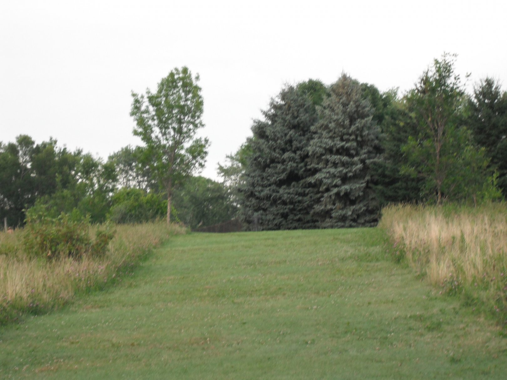 Hole 17 • Apple Creek / Plamann (Appleton, WI) Disc Golf Courses