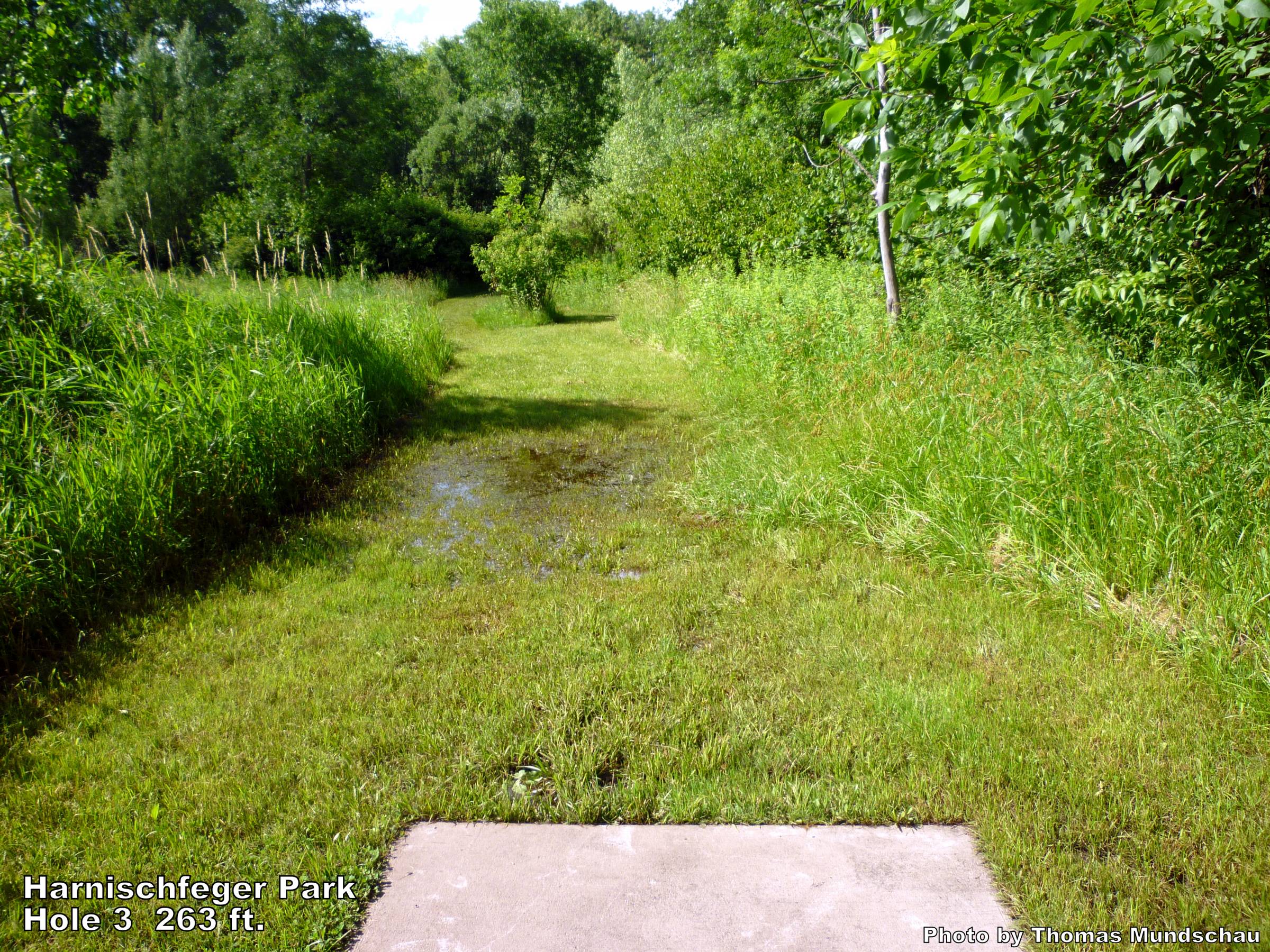 Hole 3 • Harnischfeger Park (Ashippun, WI) Disc Golf Courses Disc