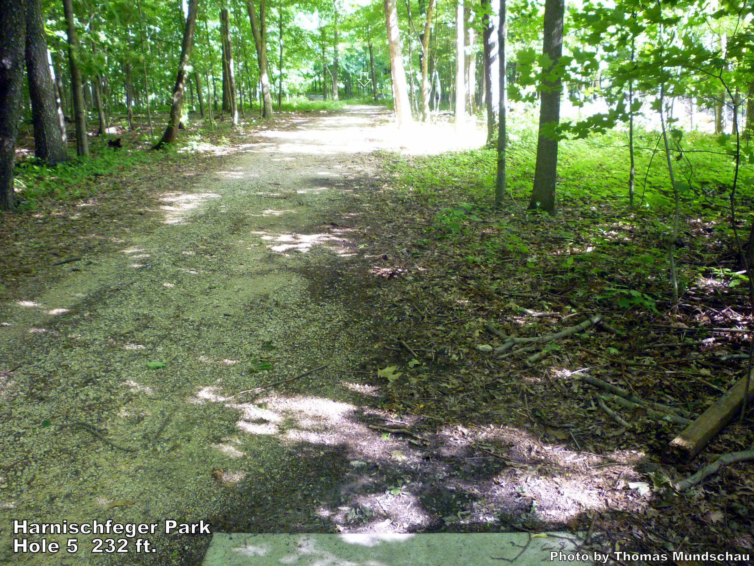 Hole 5 • Harnischfeger Park (Ashippun, WI) Disc Golf Courses Disc
