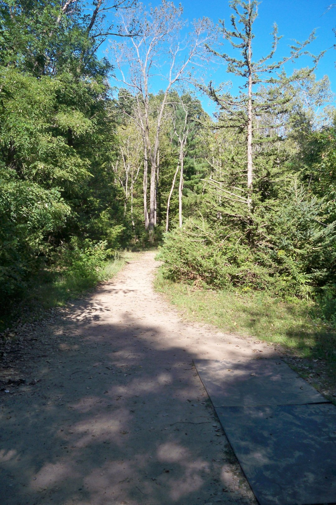 Hole 2 • Baraboo Lions (Baraboo, WI) Disc Golf Courses Disc Golf Scene