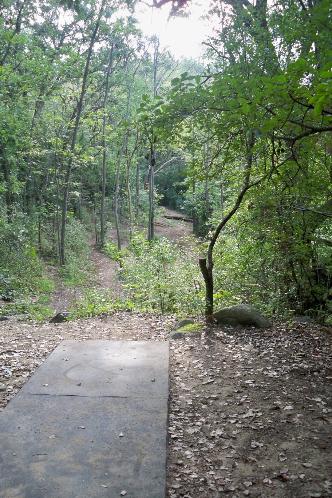 Hole 3 • Baraboo Lions (Baraboo, WI) Disc Golf Courses Disc Golf Scene