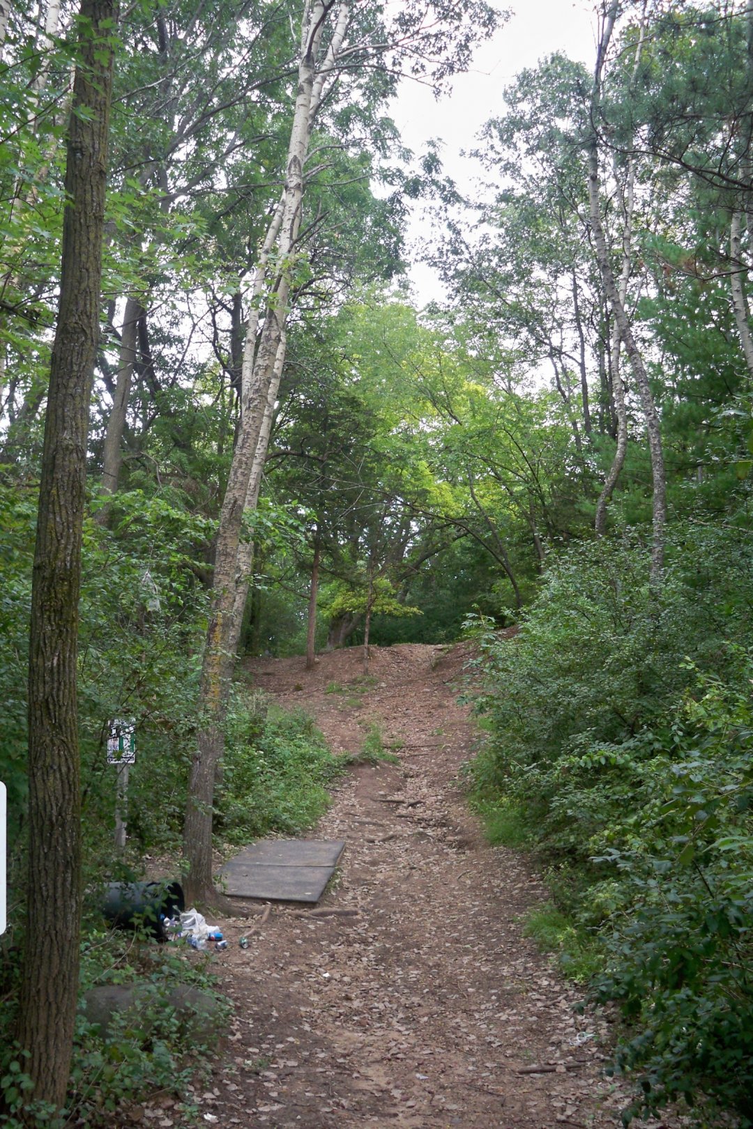 Hole 1 • Baraboo Lions (Baraboo, WI) Disc Golf Courses Disc Golf Scene