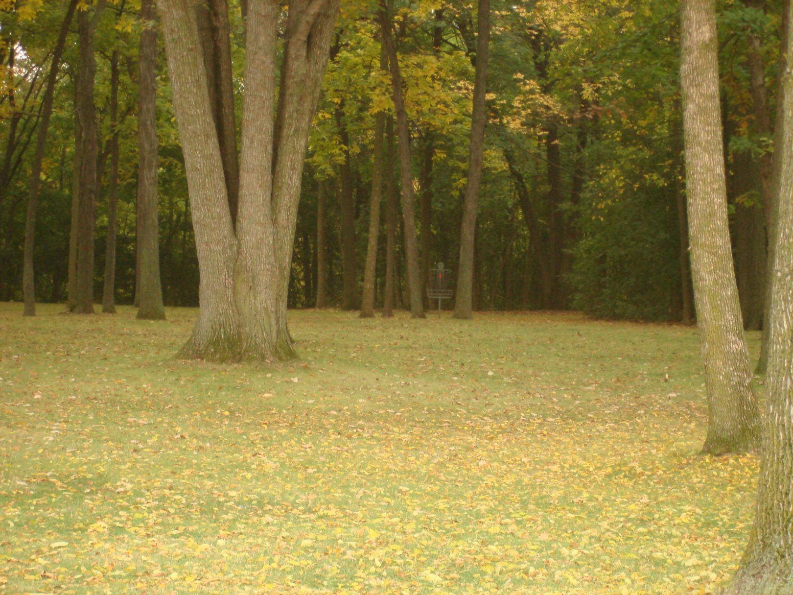 Hole 12 • Grignon Park (Kaukauna, WI) Disc Golf Courses Disc Golf Scene