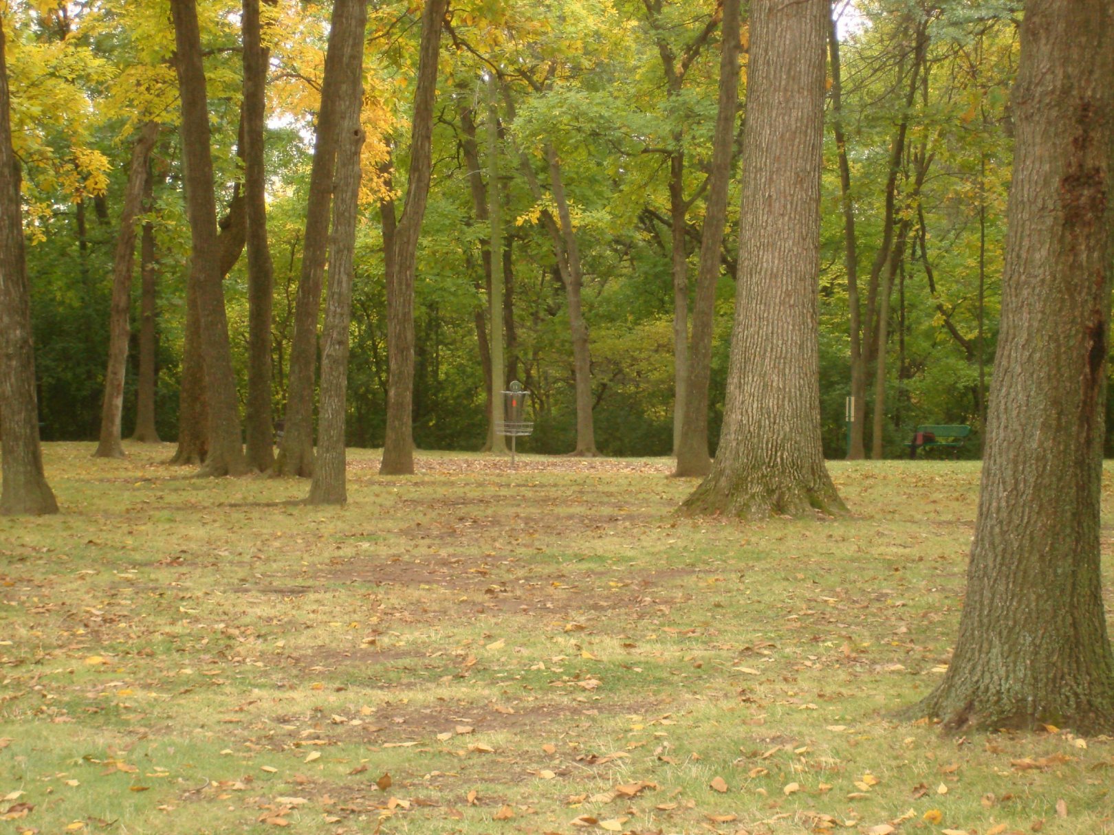 Hole 14 • Grignon Park (Kaukauna, WI) Disc Golf Courses Disc Golf Scene
