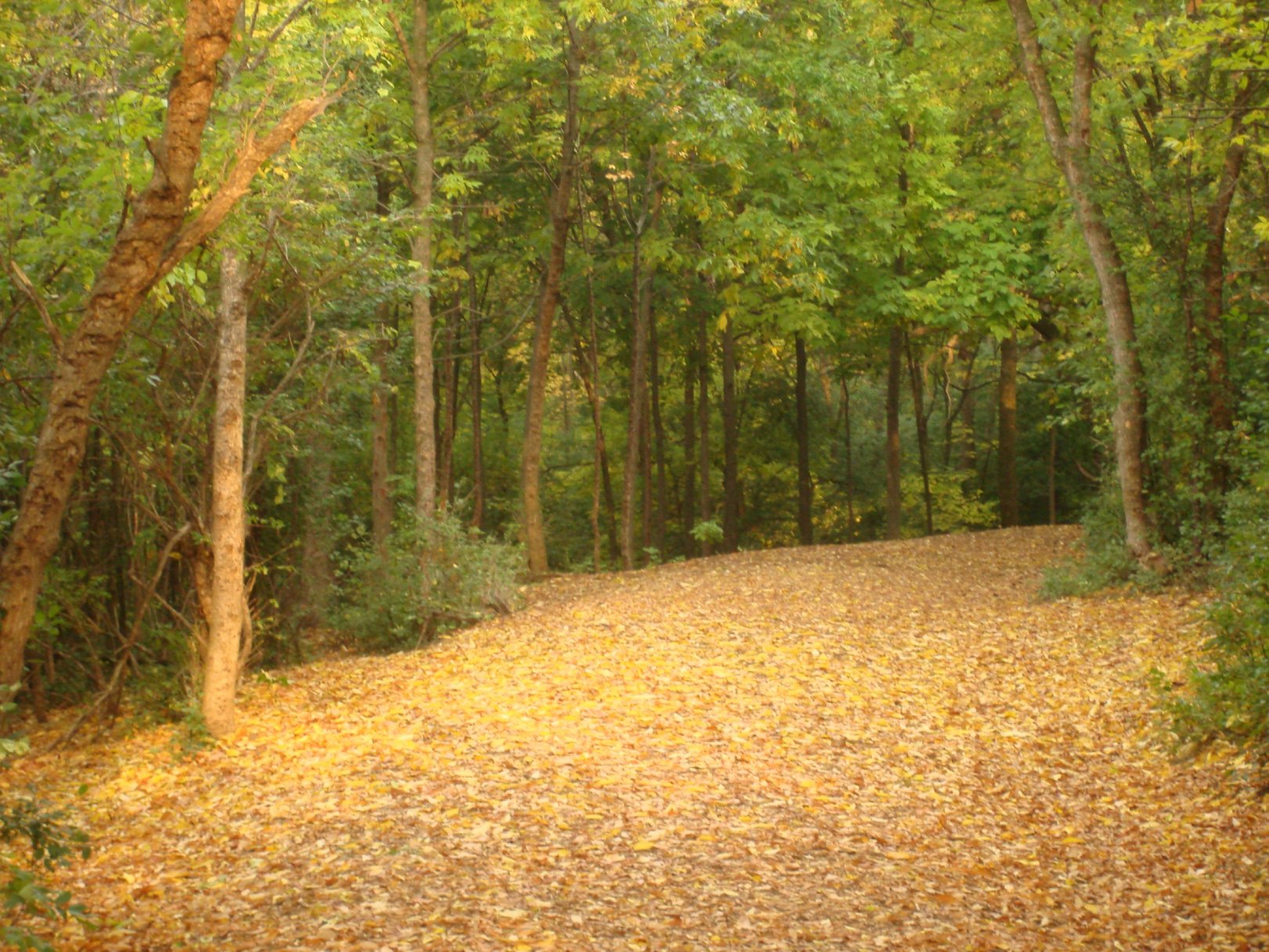 Hole 7 • Grignon Park (Kaukauna, WI) Disc Golf Courses Disc Golf Scene