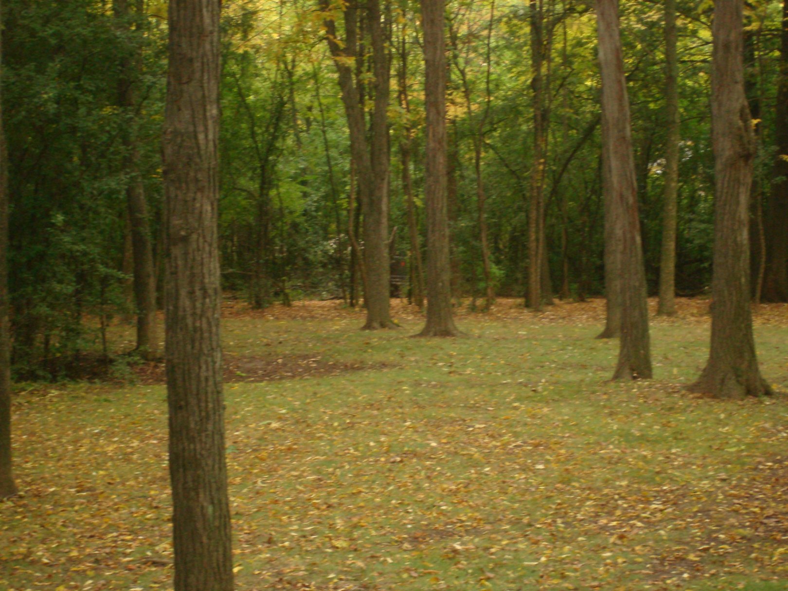 Hole 10 • Grignon Park (Kaukauna, WI) Disc Golf Courses Disc Golf Scene