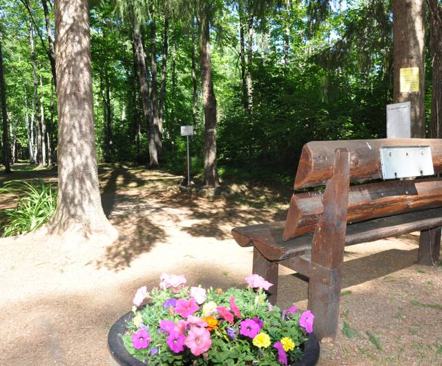 Hole 1 • Sandy Point Resort Disc Golf Ranch (Lac Du Flambeau, WI