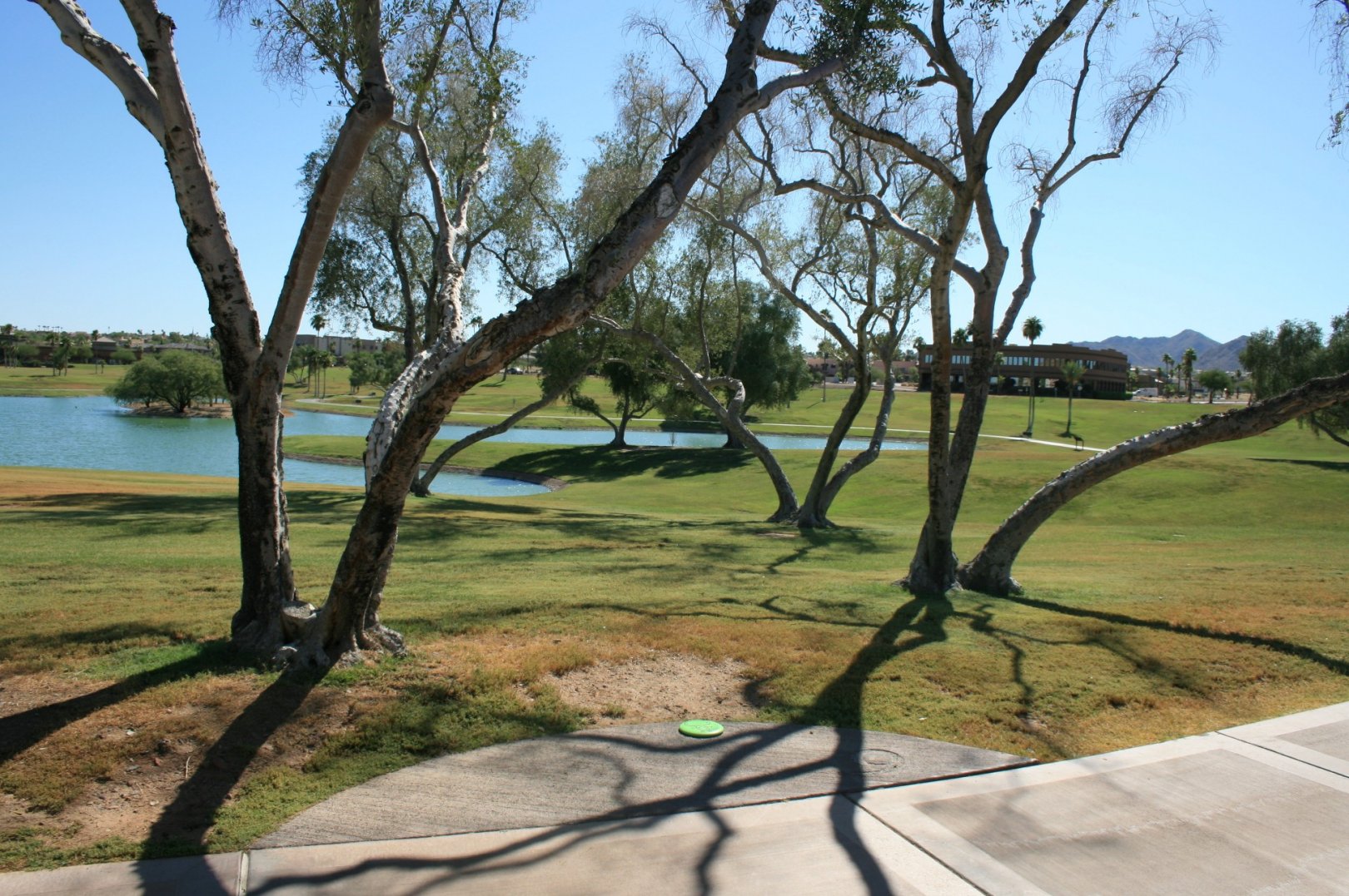 Hole 9 • Fountain Hills Park (Fountain Hills, AZ) Disc Golf Courses Disc Golf Scene