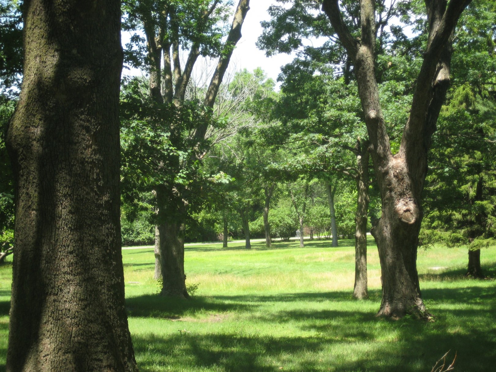 Hole 6 • Ewing Park (Des Moines, IA) Disc Golf Courses Disc Golf Scene