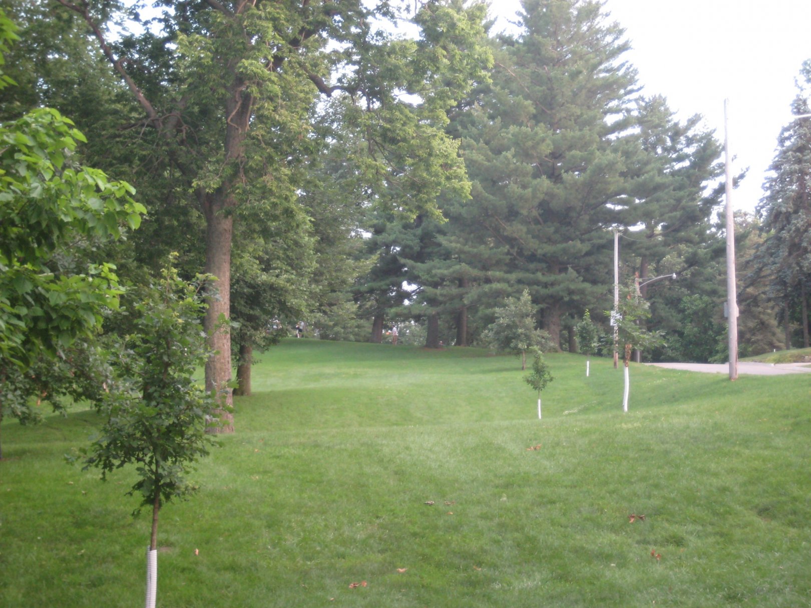 Hole 12 • Grandview Park (Des Moines, IA) Disc Golf Courses Disc