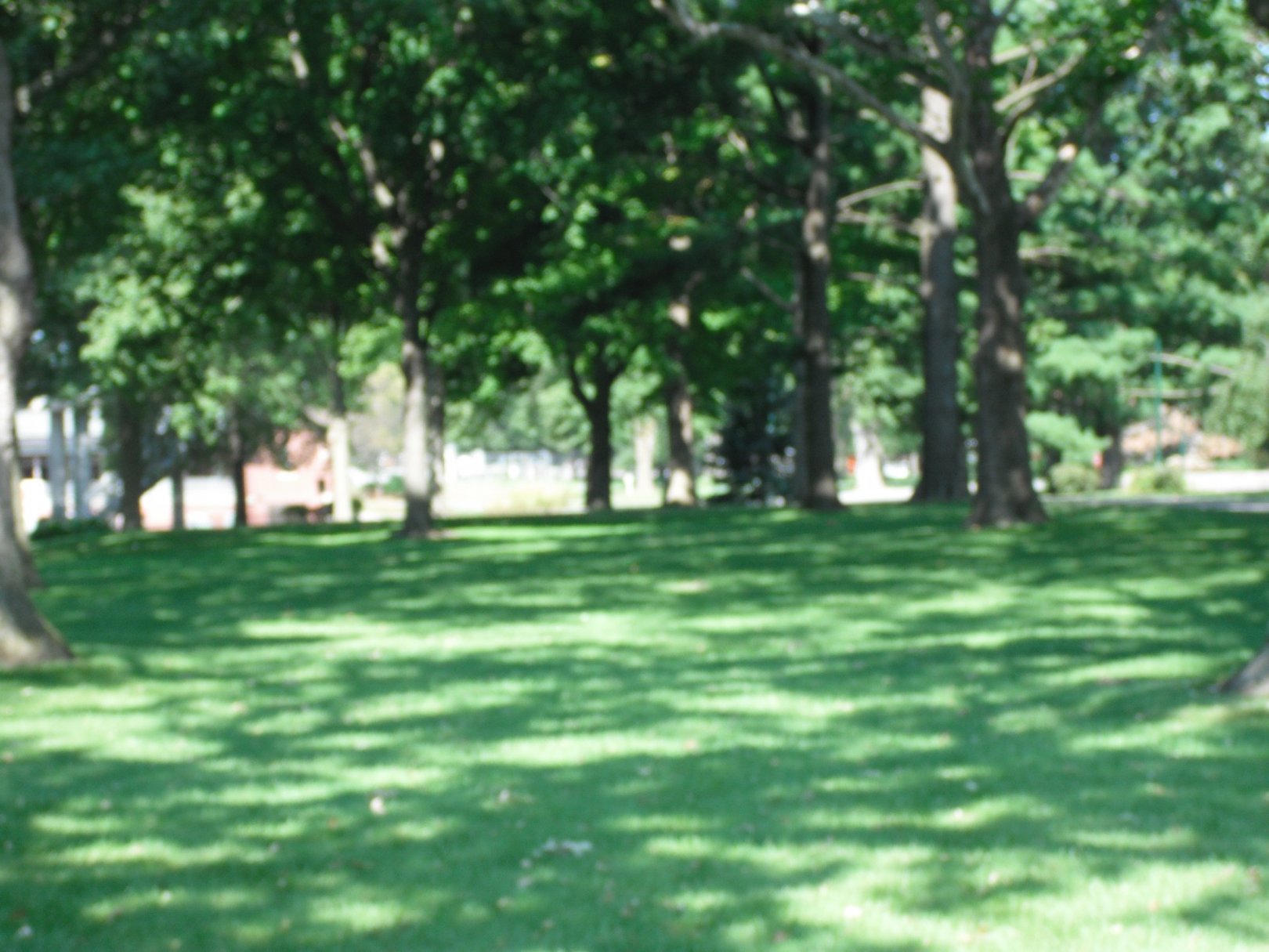 Hole 5 • Maytag Park (Newton, IA) Disc Golf Courses Disc Golf Scene