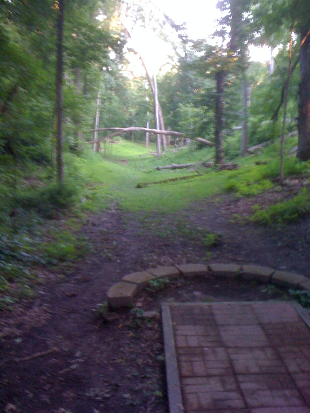 Hole 17 • Wildcat Bluff (Urbana, IA) Disc Golf Courses Disc Golf Scene