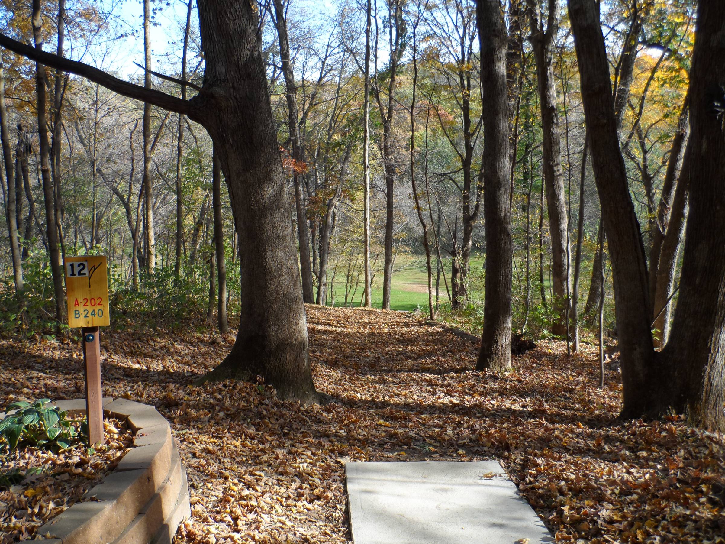 Hole 12 • Wildcat Bluff (Urbana, IA) Disc Golf Courses Disc Golf Scene