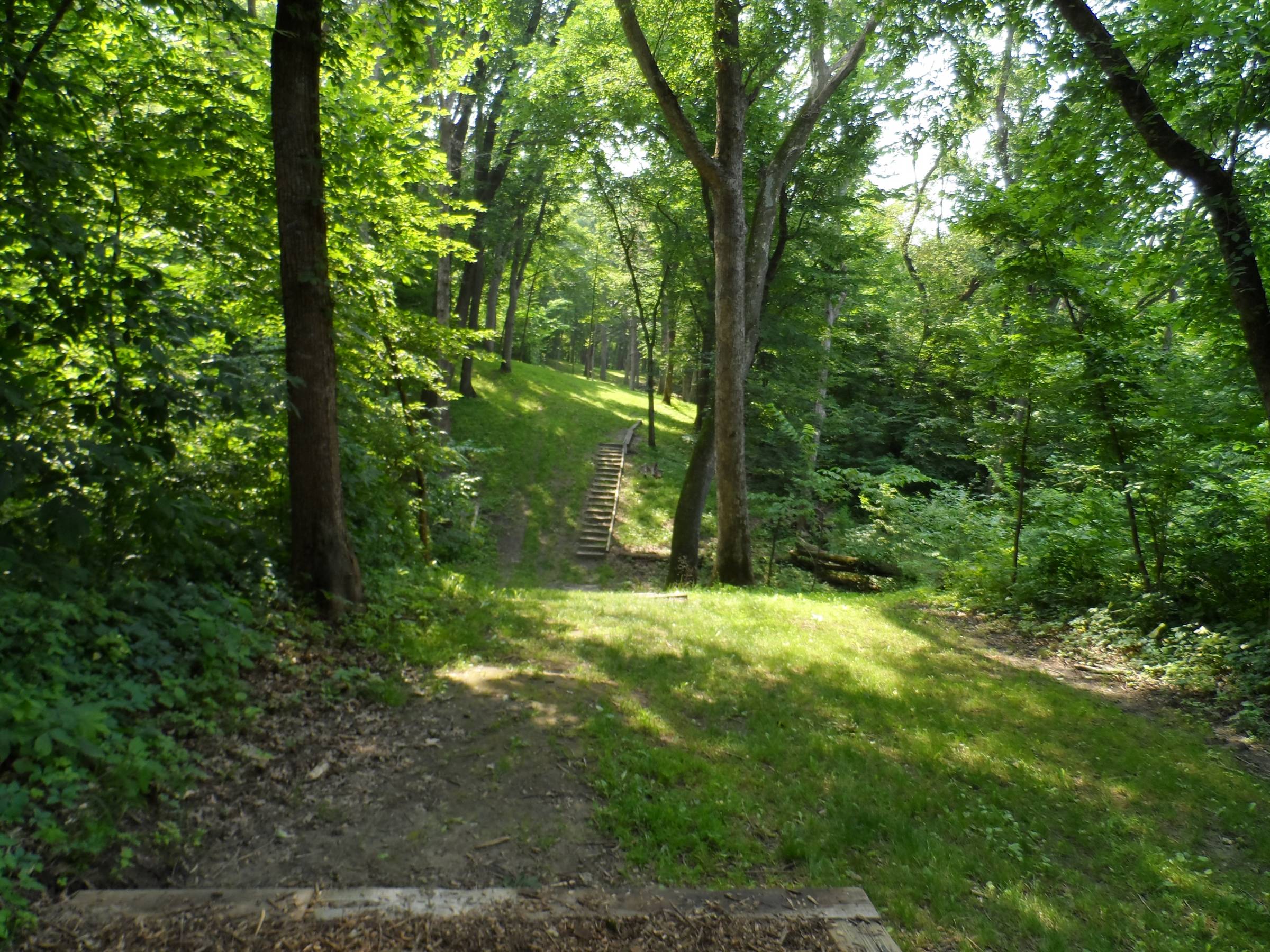 Hole 17 • Wildcat Bluff (Urbana, IA) Disc Golf Courses Disc Golf Scene