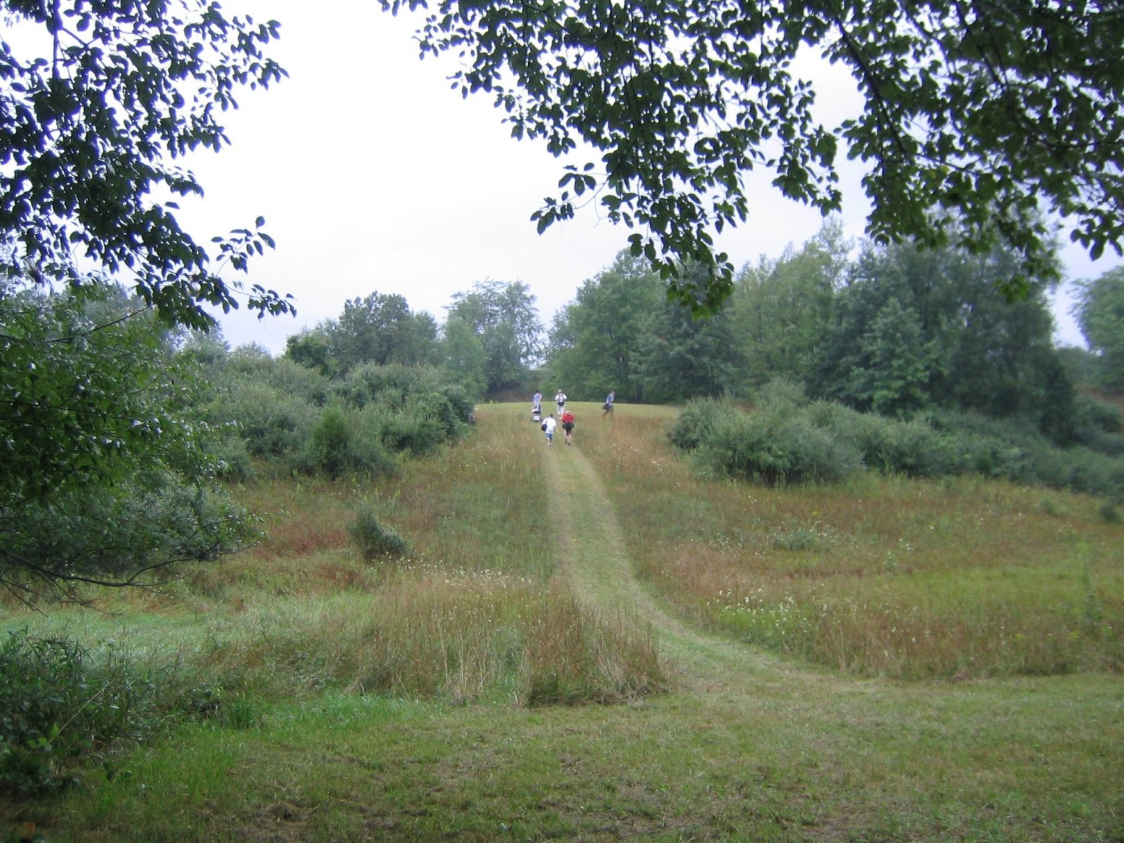 Hole 9 • Kensington Metropark Toboggan Course (Milford, MI) Disc