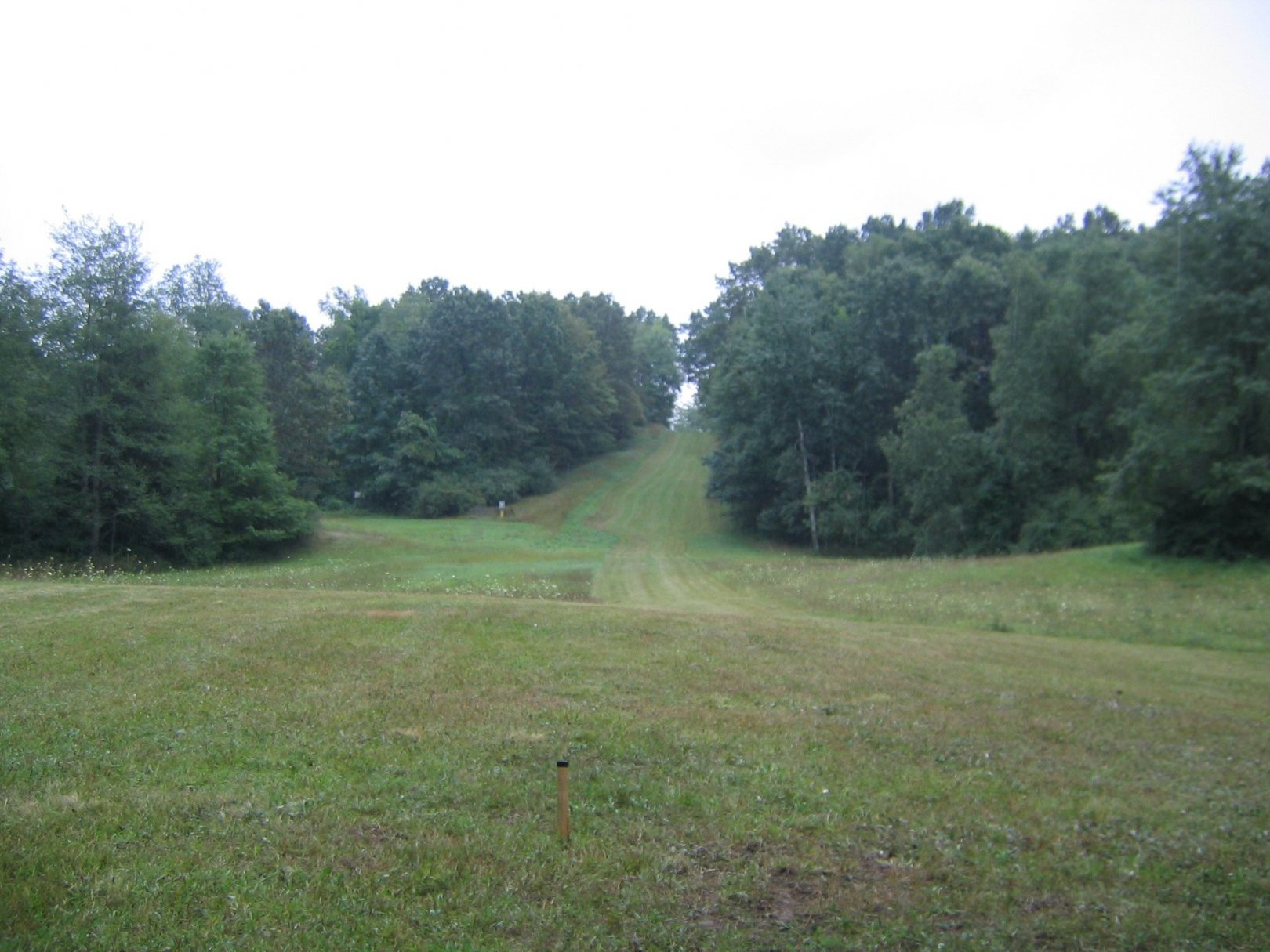 Hole 3 • Kensington Metropark Toboggan Course (Milford, MI) Disc