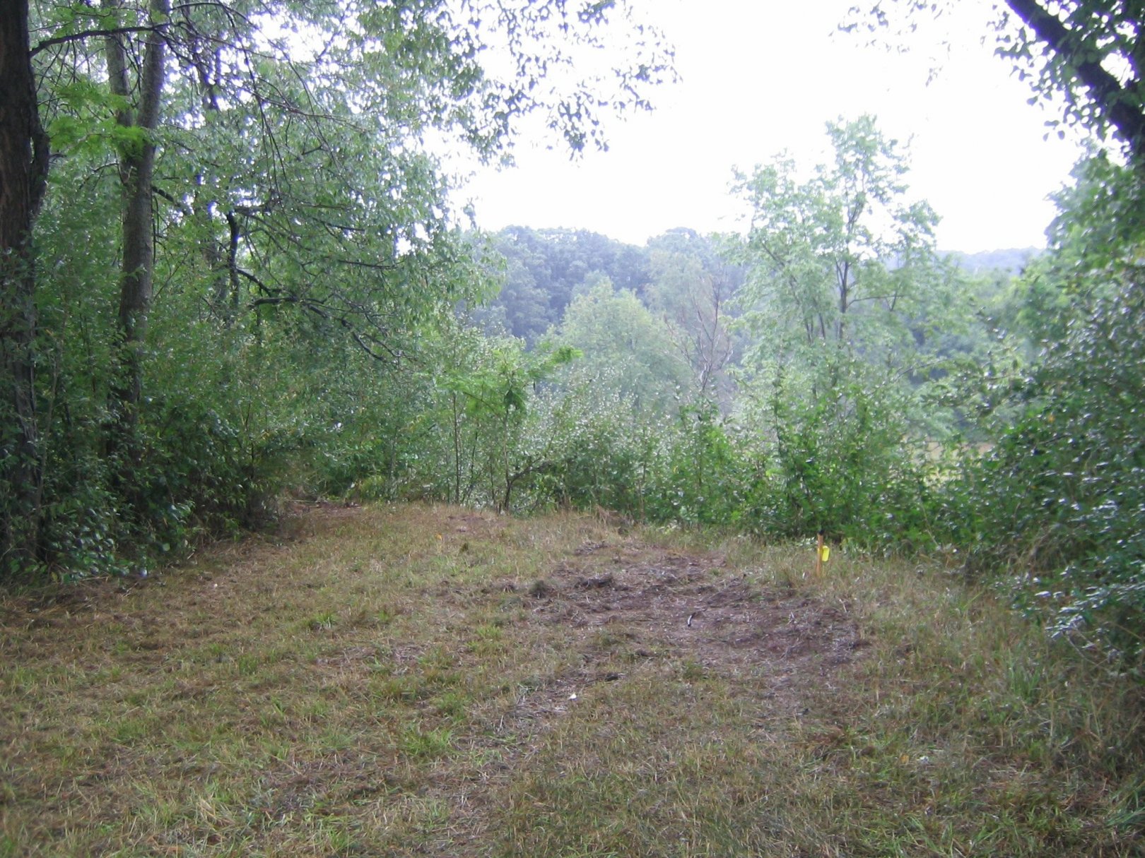 Hole 8 • Kensington Metropark Toboggan Course (Milford, MI) Disc