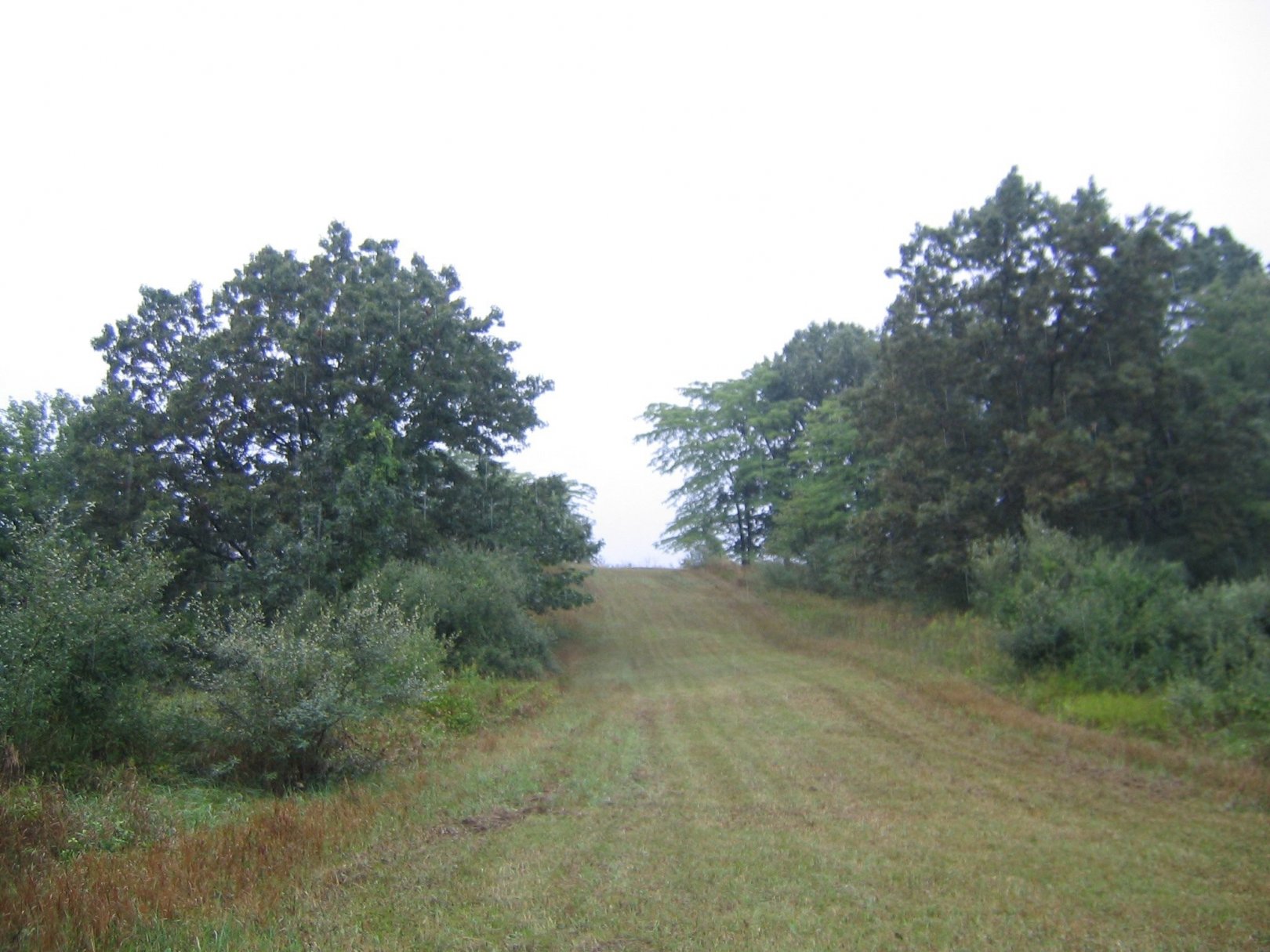 Hole 11 • Kensington Metropark Toboggan Course (Milford, MI) Disc
