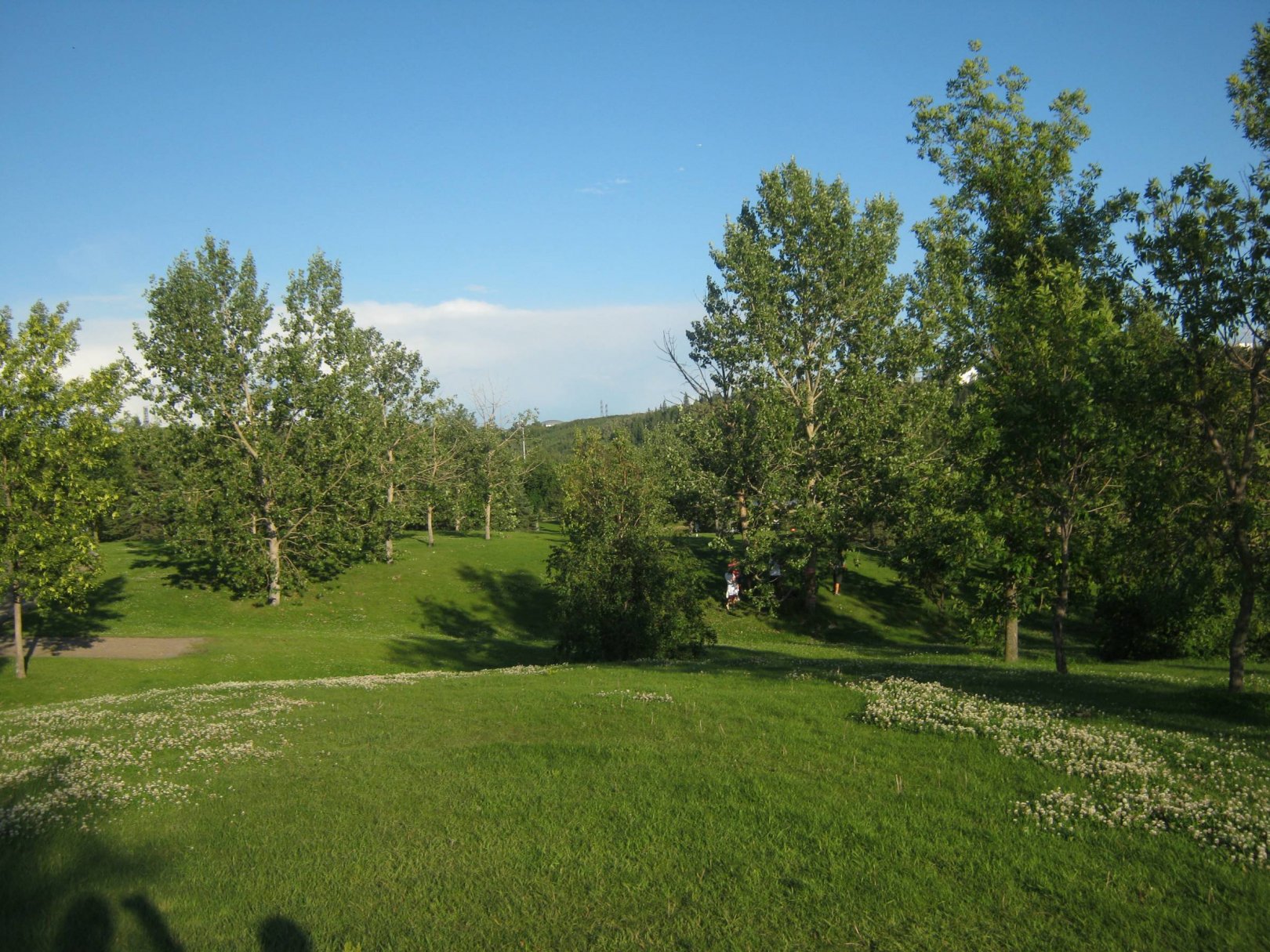 Hole 1 • Rundle Park DGC (Edmonton, AB) Disc Golf Courses Disc Golf
