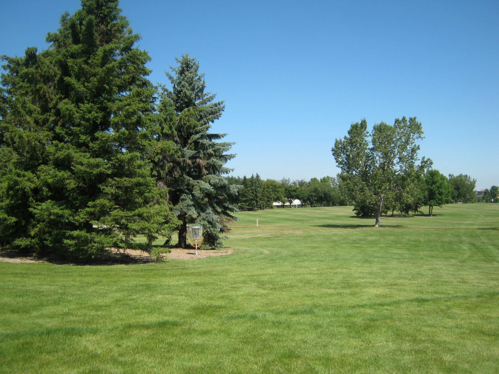 Hole 6 • Nicholas Sheran Park (Lethbridge, AB) Disc Golf Courses
