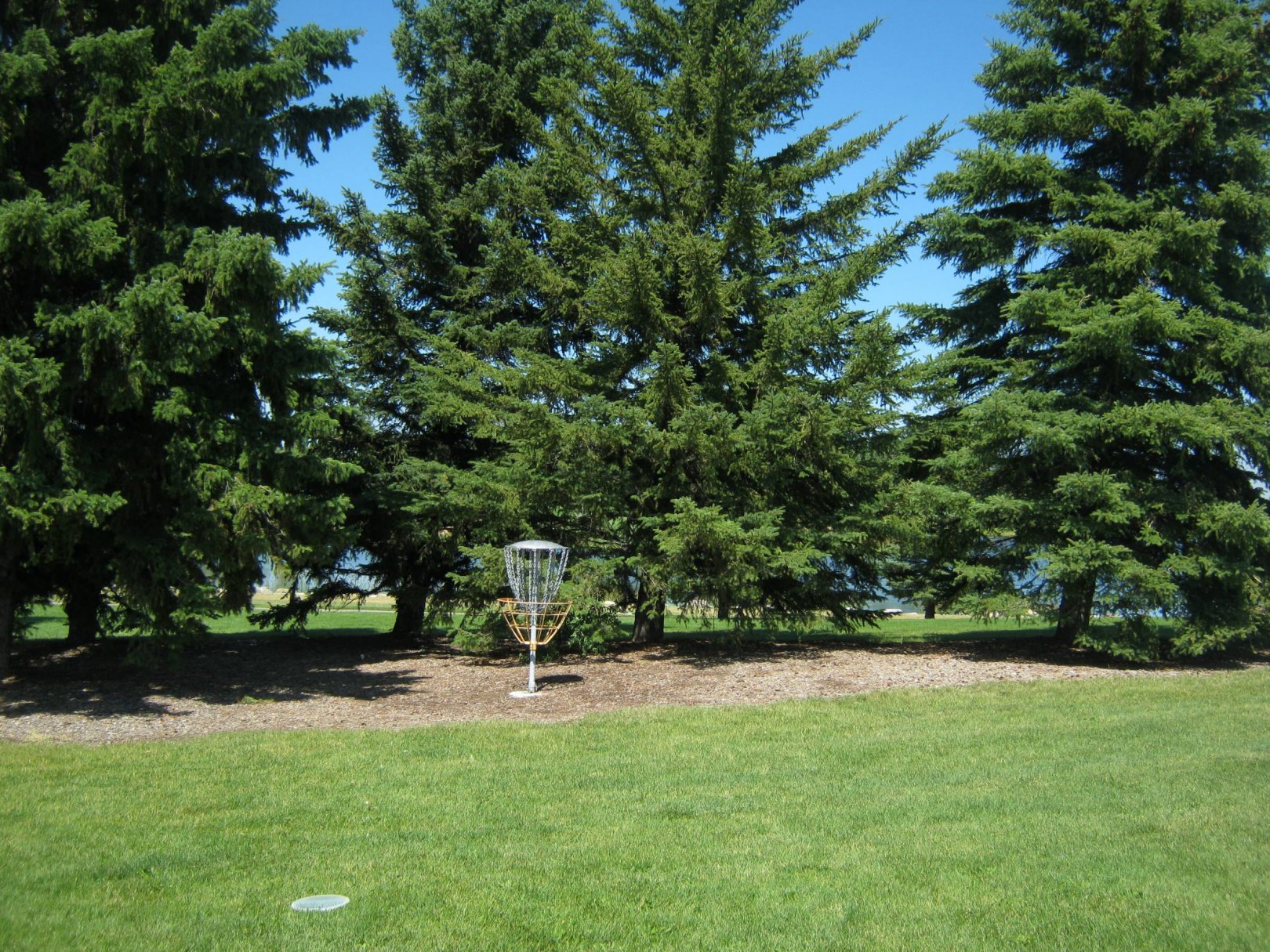 Hole 9 • Nicholas Sheran Park (Lethbridge, AB) Disc Golf Courses