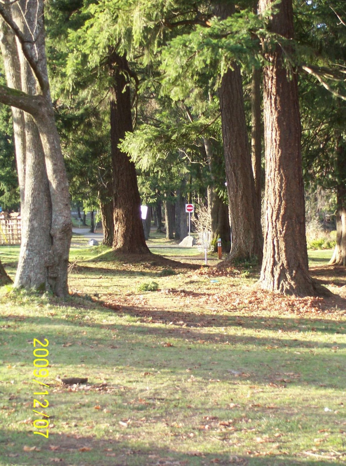 Hole 17 • Bowen Park (Nanaimo, BC) Disc Golf Courses Disc Golf Scene