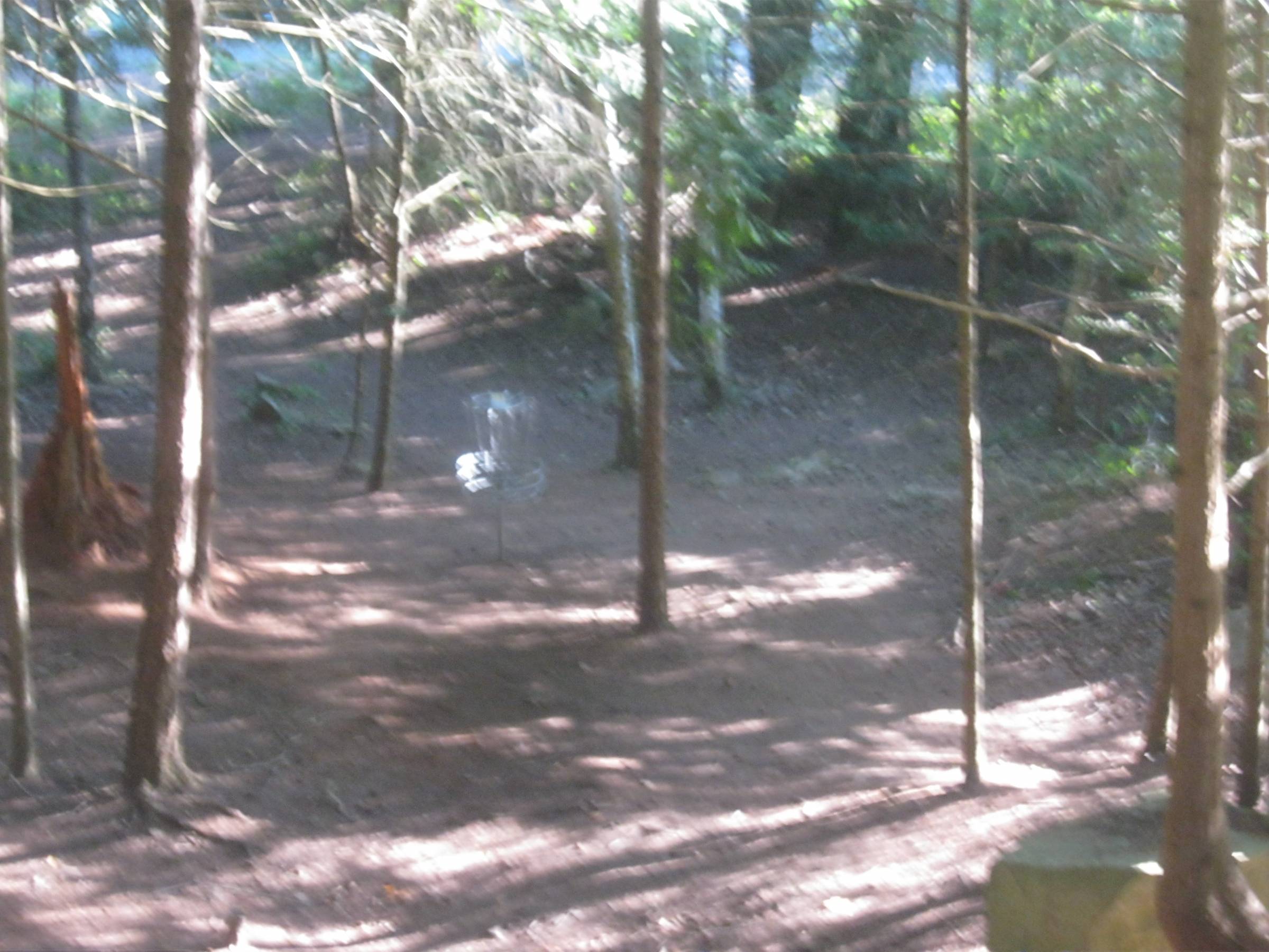 Hole 19 • Main course / Pender Island Disc Park (Pender Island, BC