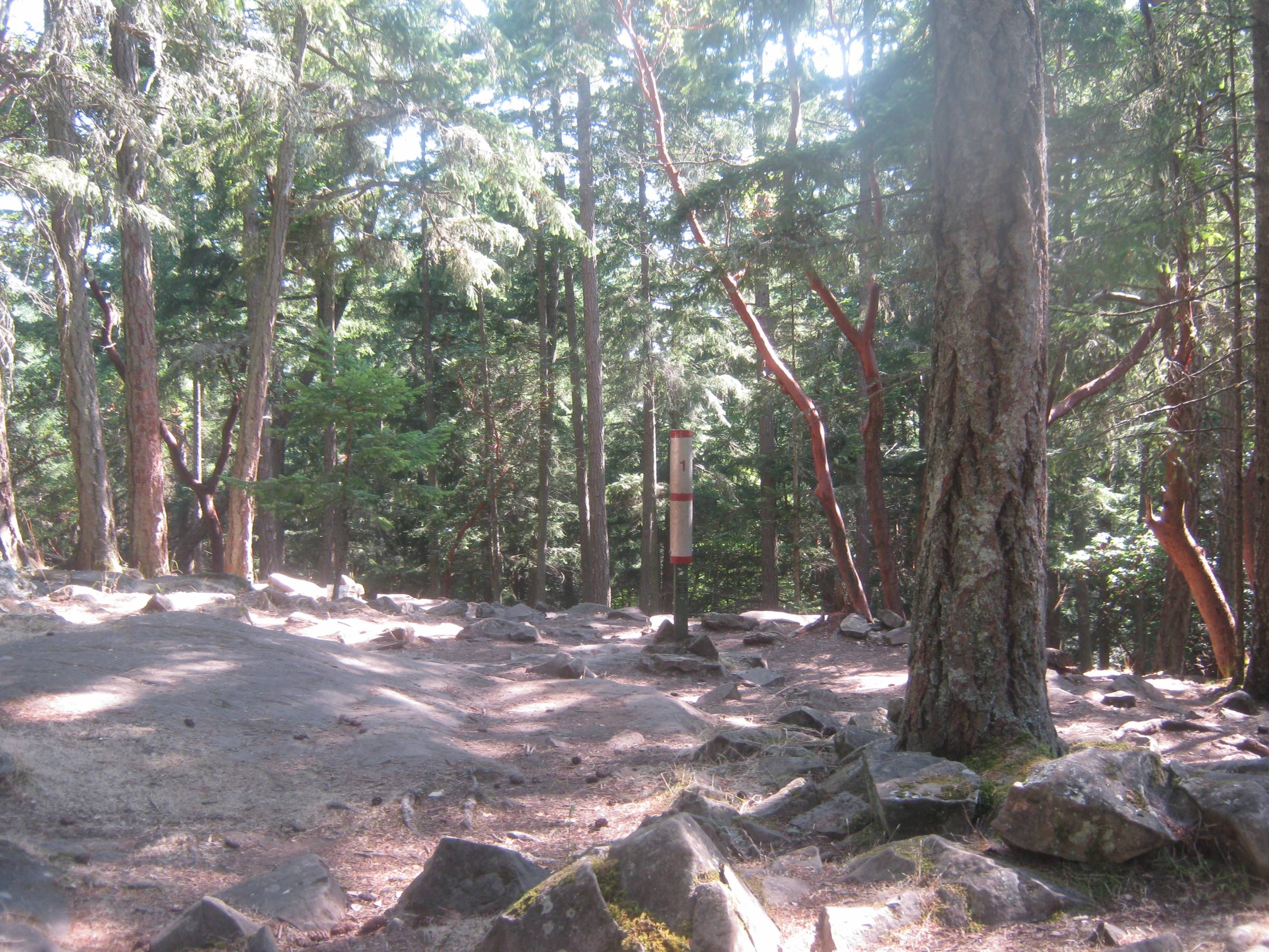 Hole 1 • Main course / Pender Island Disc Park (Pender Island, BC