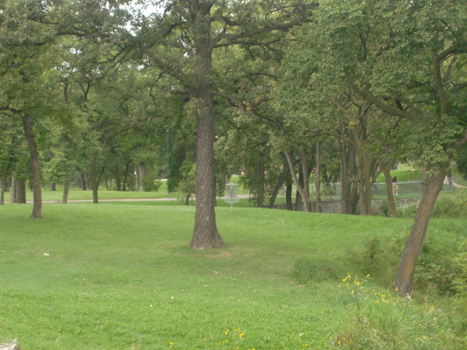 Hole 1 • Happyland Park (Winnipeg, MB) Disc Golf Courses Disc Golf