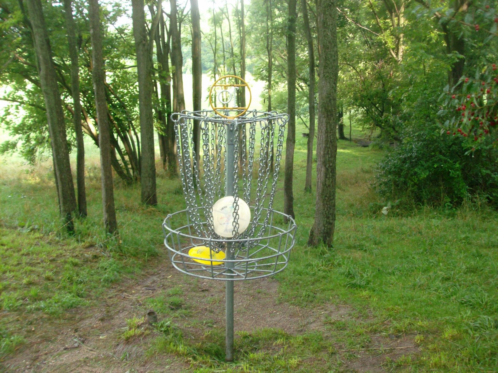 Hole 10 • V.A. Barrie Park (St. Thomas, ON) Disc Golf Courses Disc