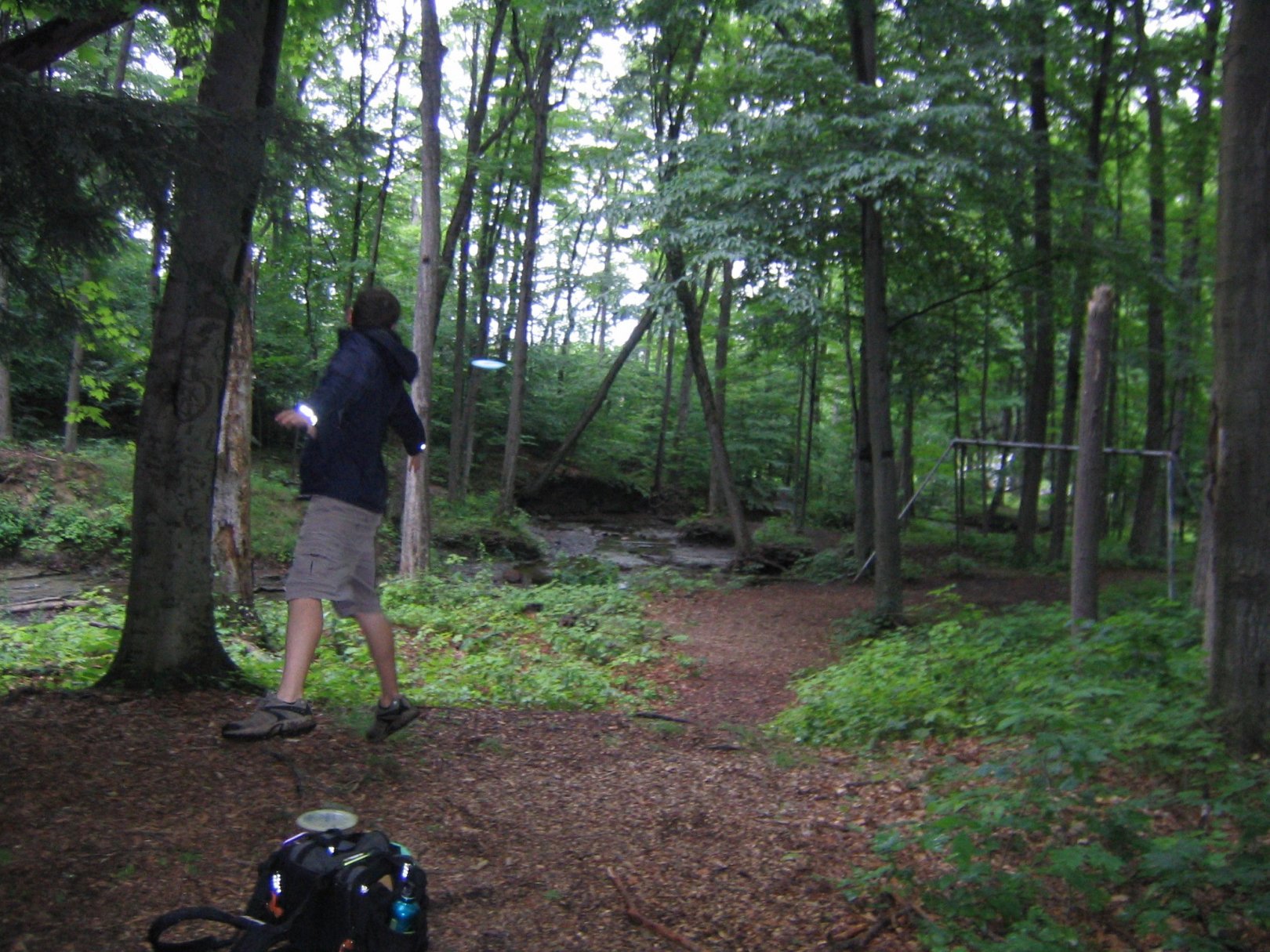 Hole 8 • Emery Park (South Wales, NY) Disc Golf Courses Disc Golf Scene