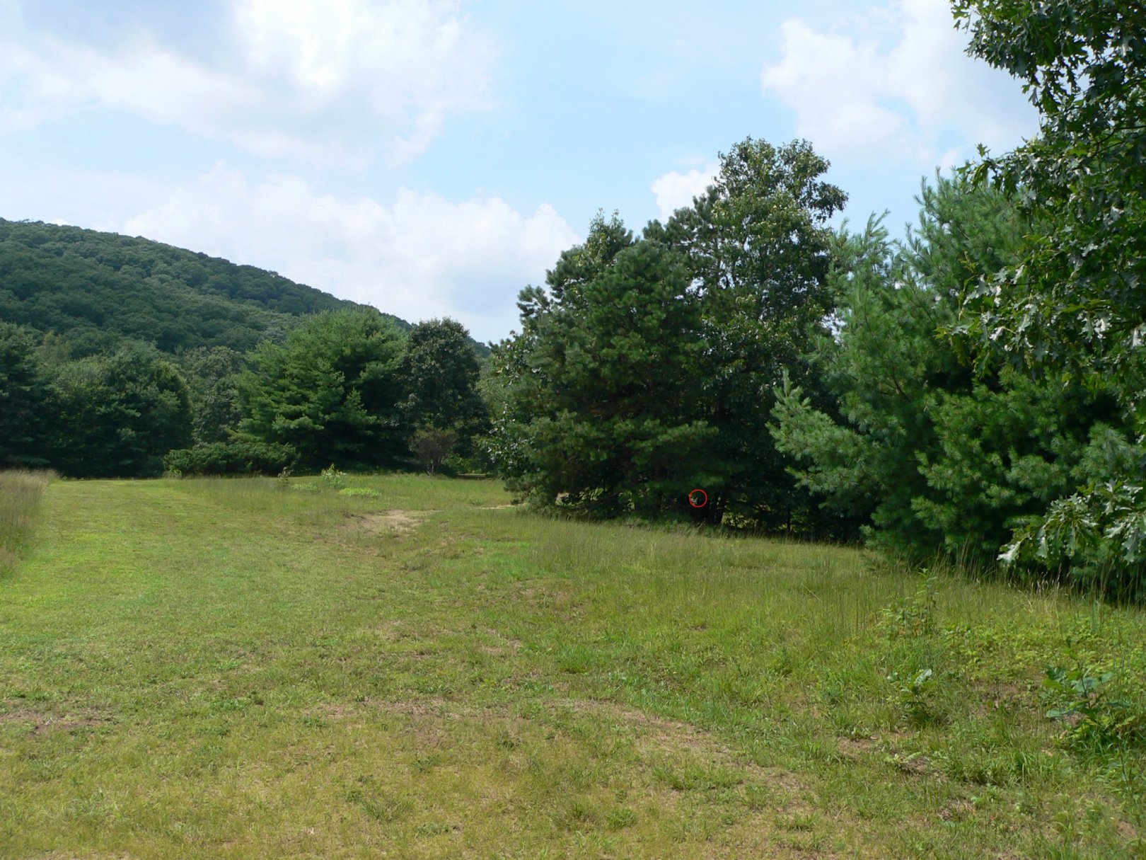 Hole 17 • Crane Hill (Wilbraham, MA) Disc Golf Courses Disc Golf Scene